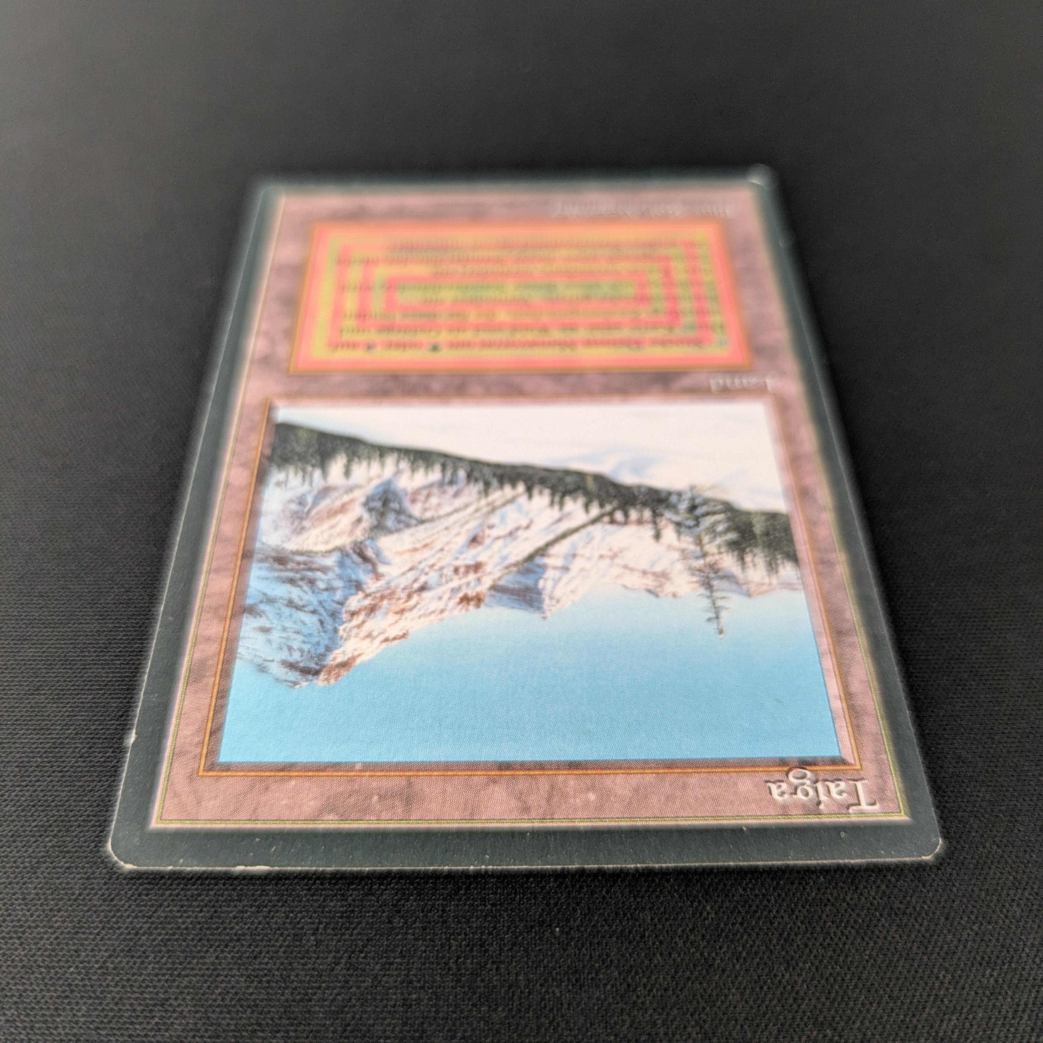 MTG Singles - Taiga - Foreign Black Bordered - 