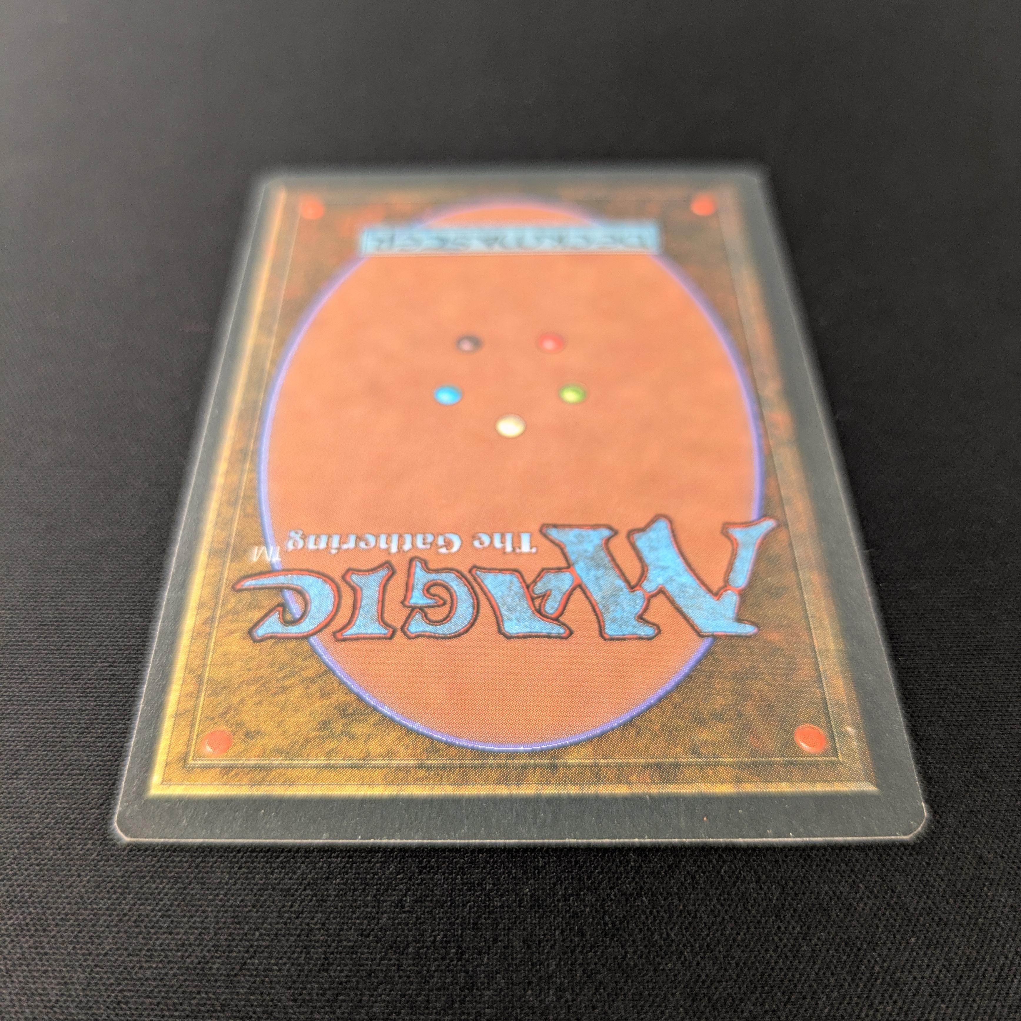 MTG Singles - Taiga - Foreign Black Bordered - 