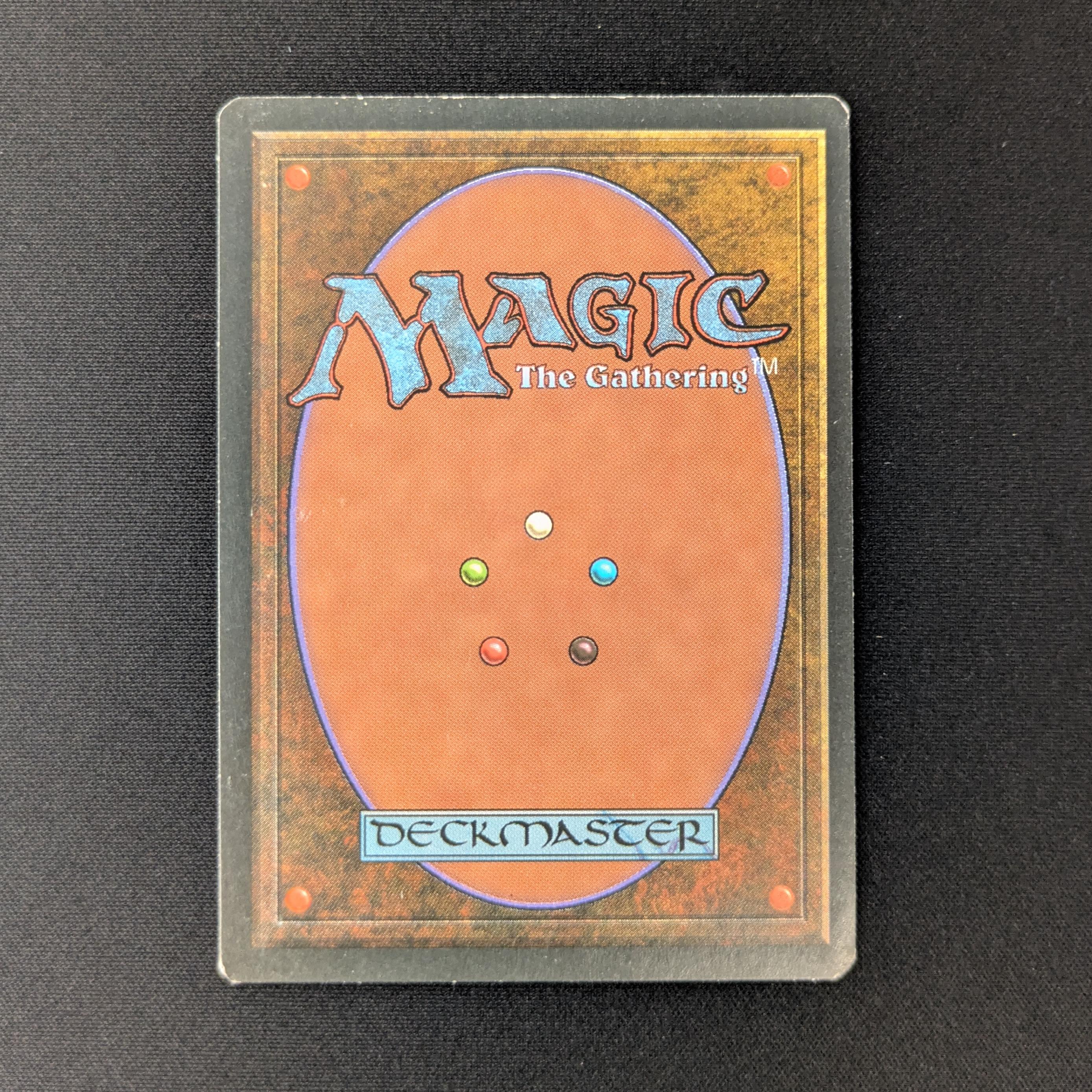 MTG Singles - Taiga - Foreign Black Bordered - 