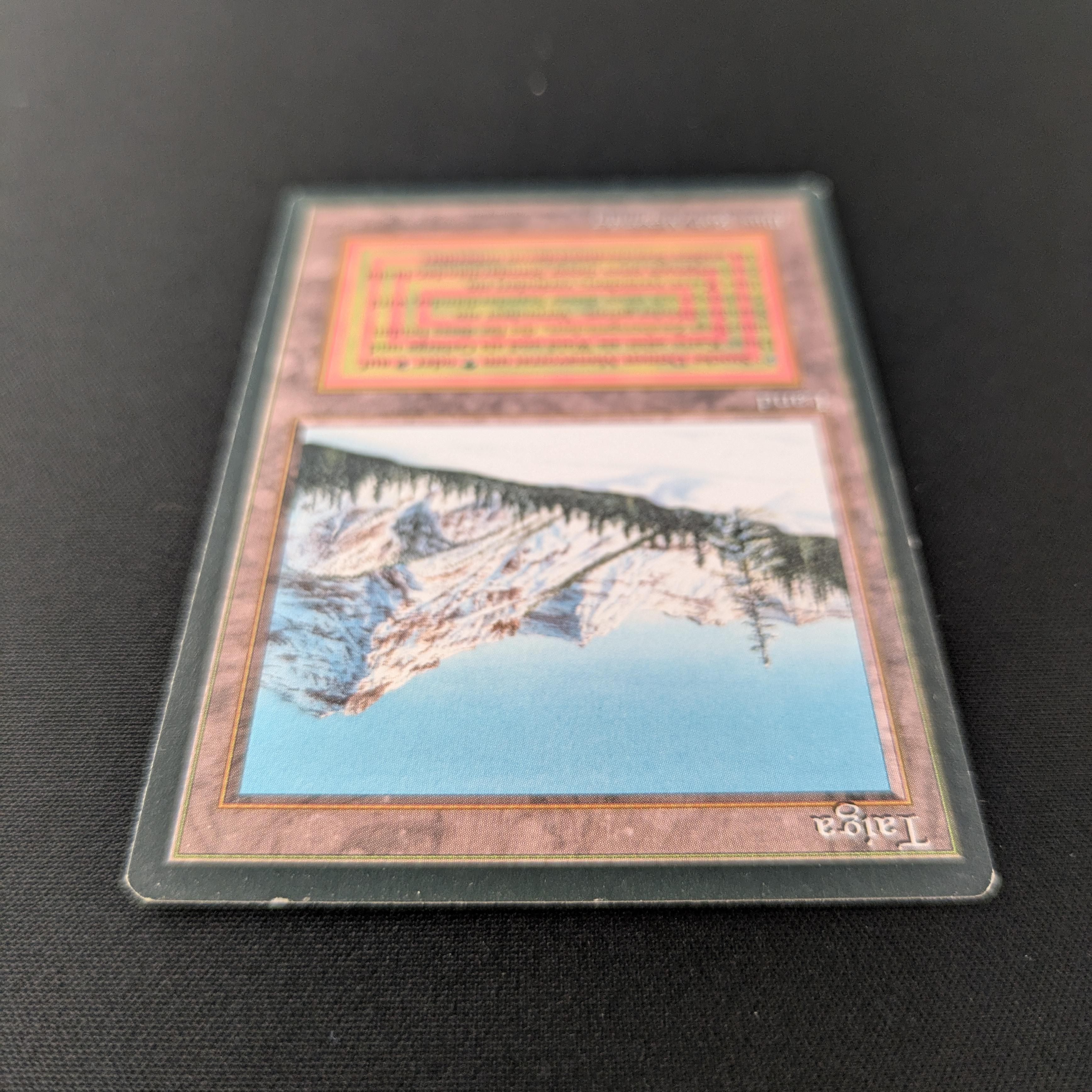 MTG Singles - Taiga - Foreign Black Bordered - 