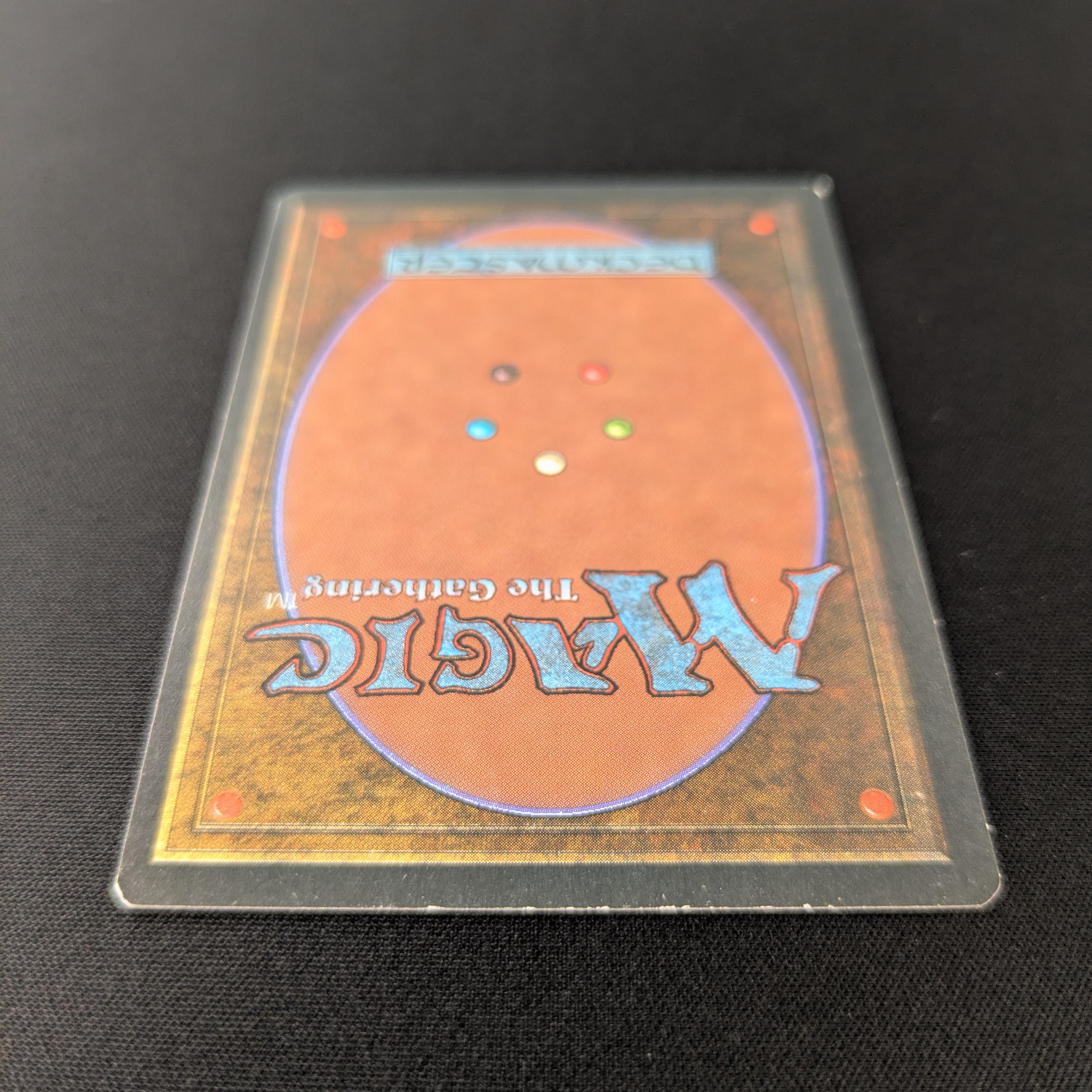 MTG Singles - Taiga - Foreign Black Bordered - 