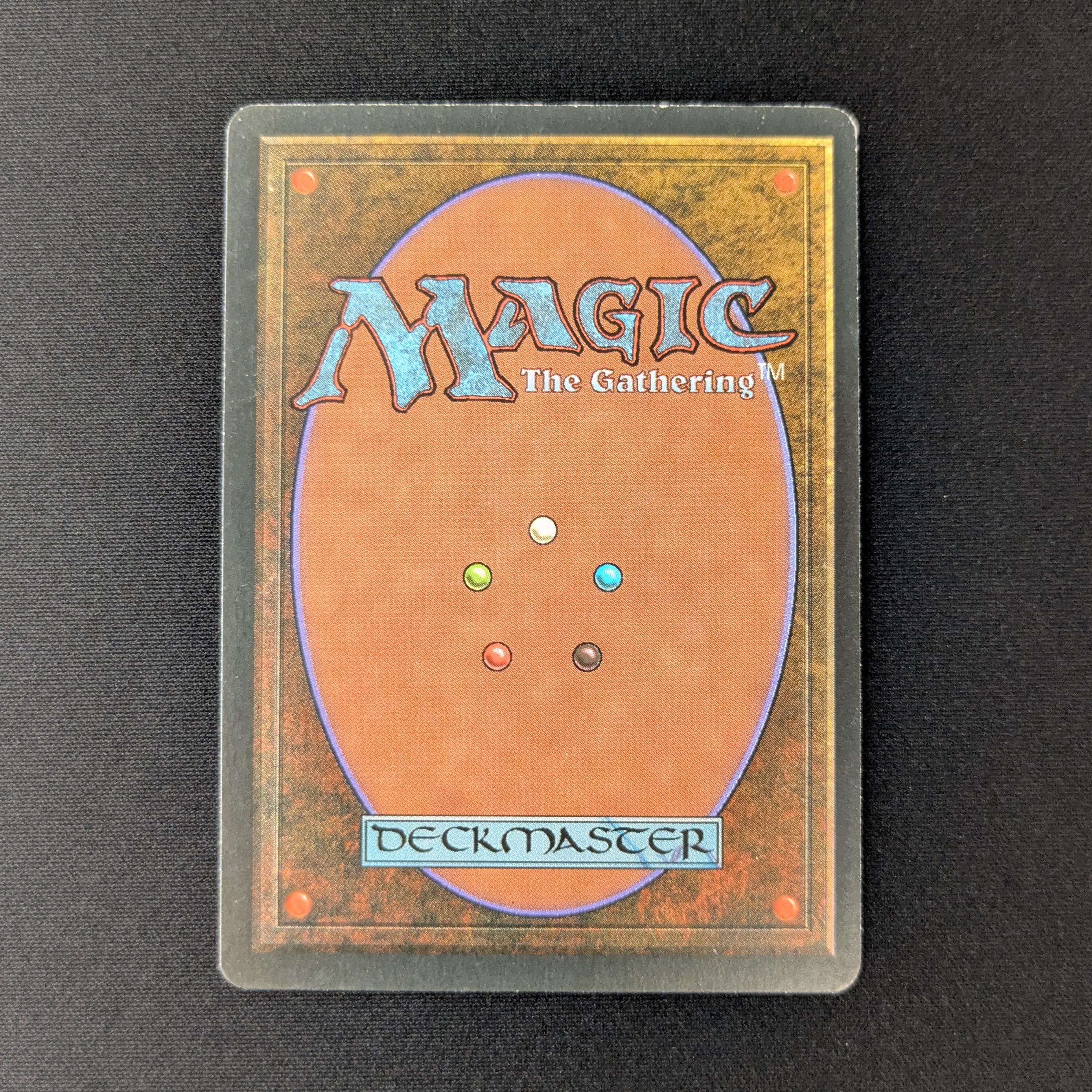 MTG Singles - Taiga - Foreign Black Bordered - 