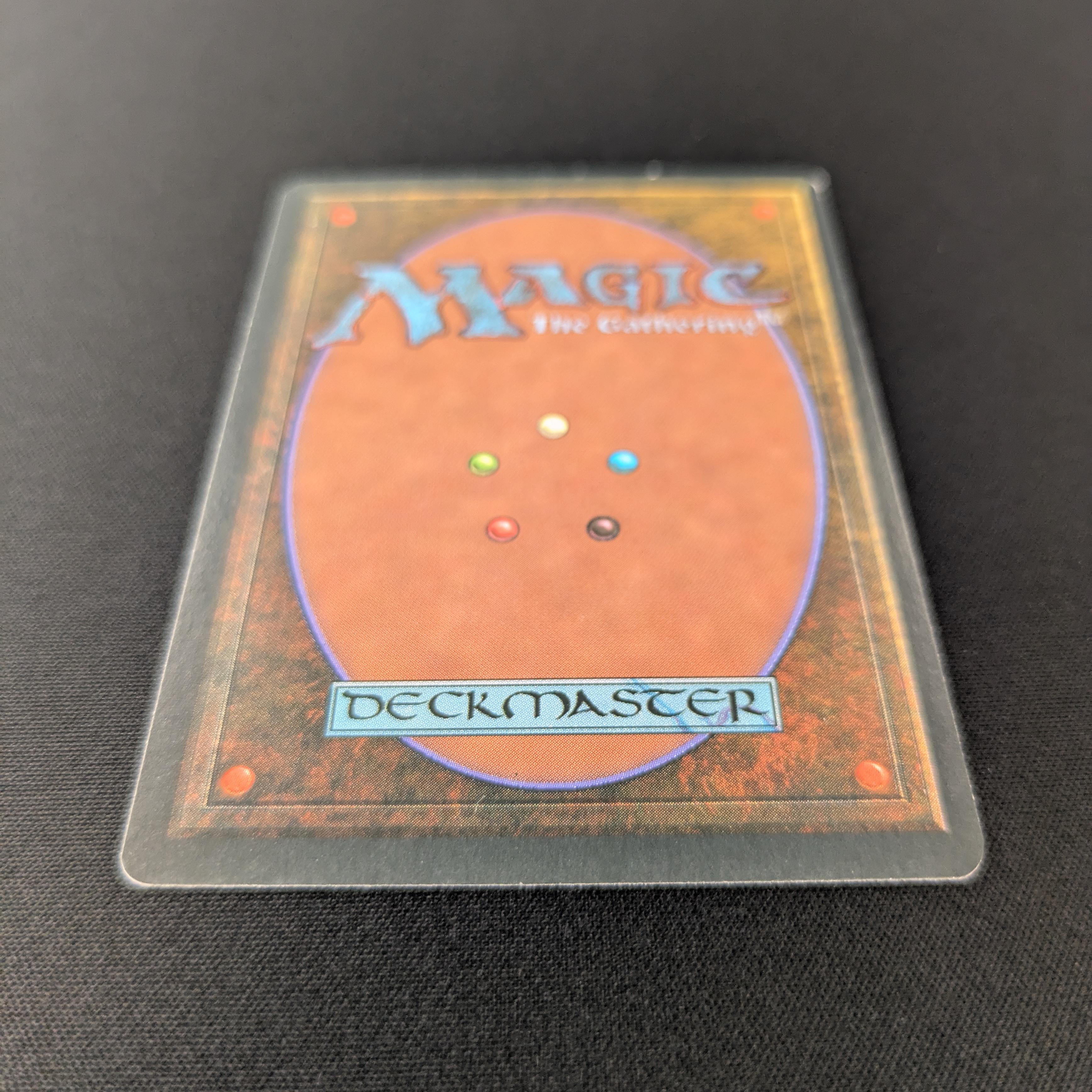 MTG Singles - Taiga - Foreign Black Bordered - 