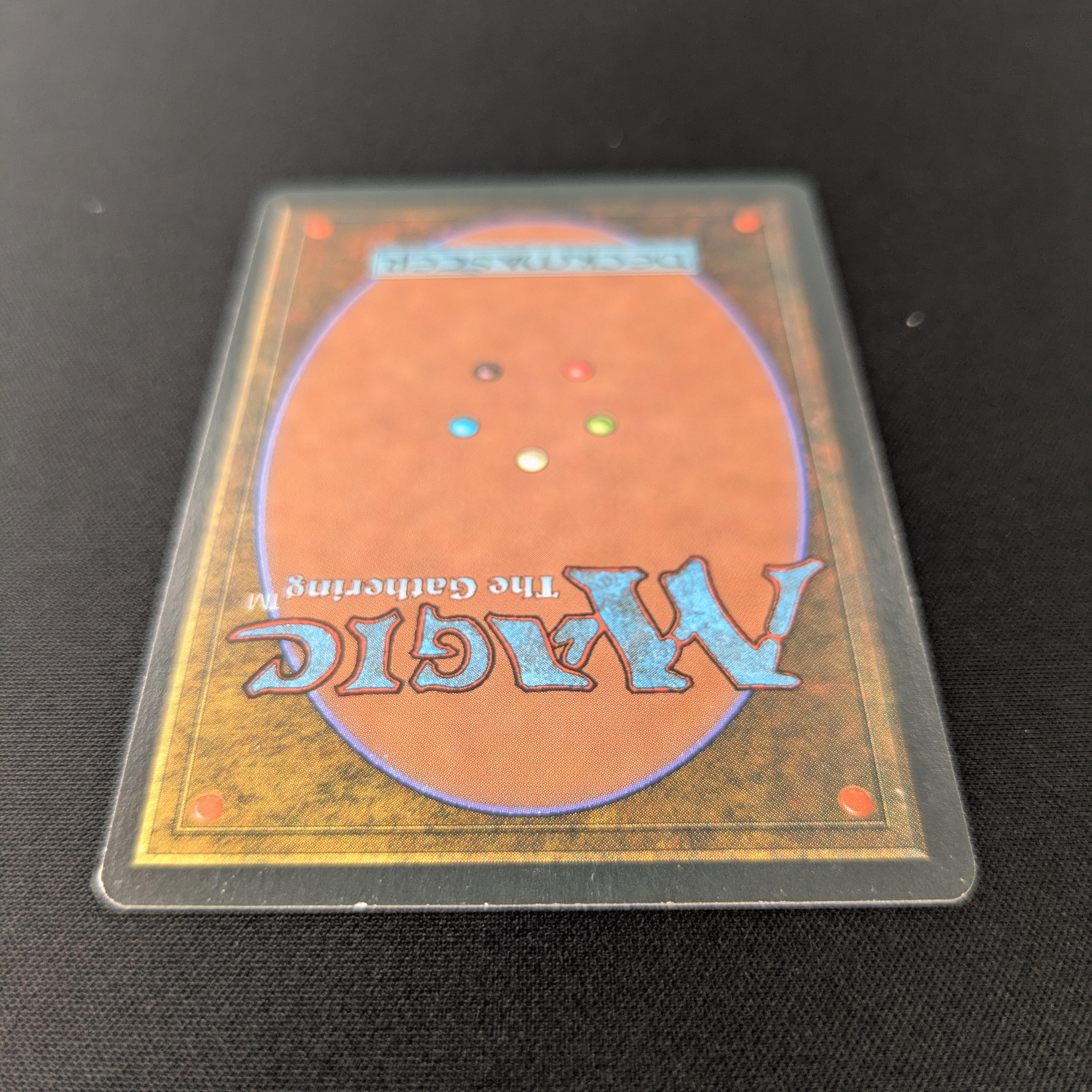 MTG Singles - Taiga - Foreign Black Bordered - 