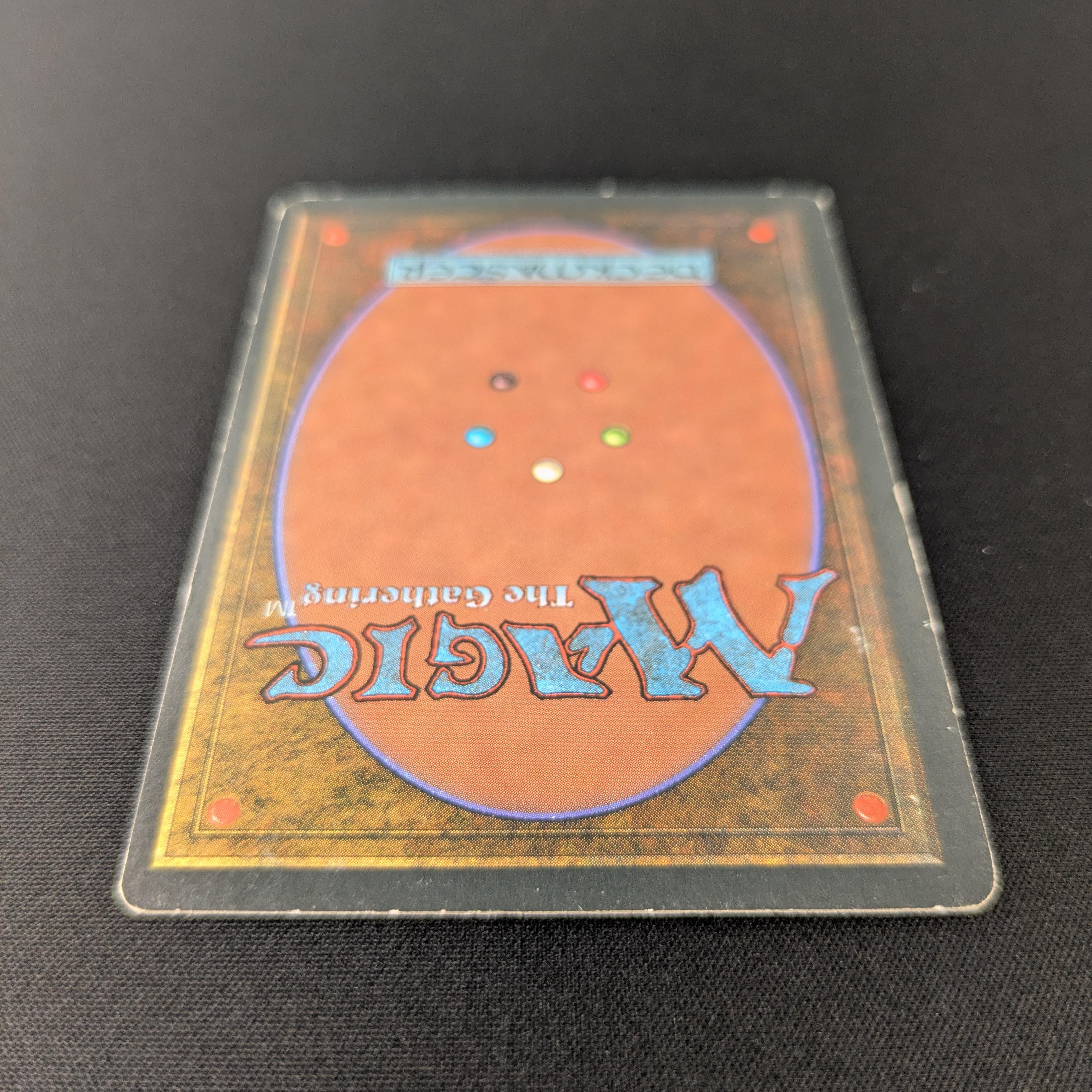 MTG Singles - Tundra - Foreign Black Bordered - 