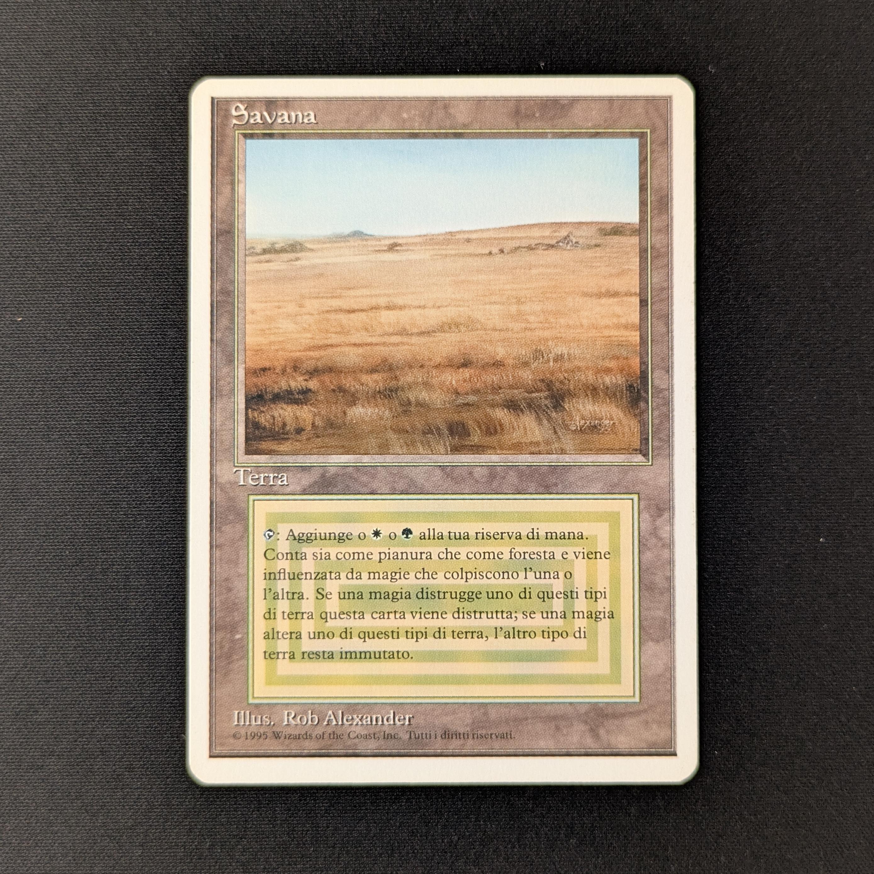 MTG Singles - Savannah - Foreign White Bordered - Italian - EX - 27744