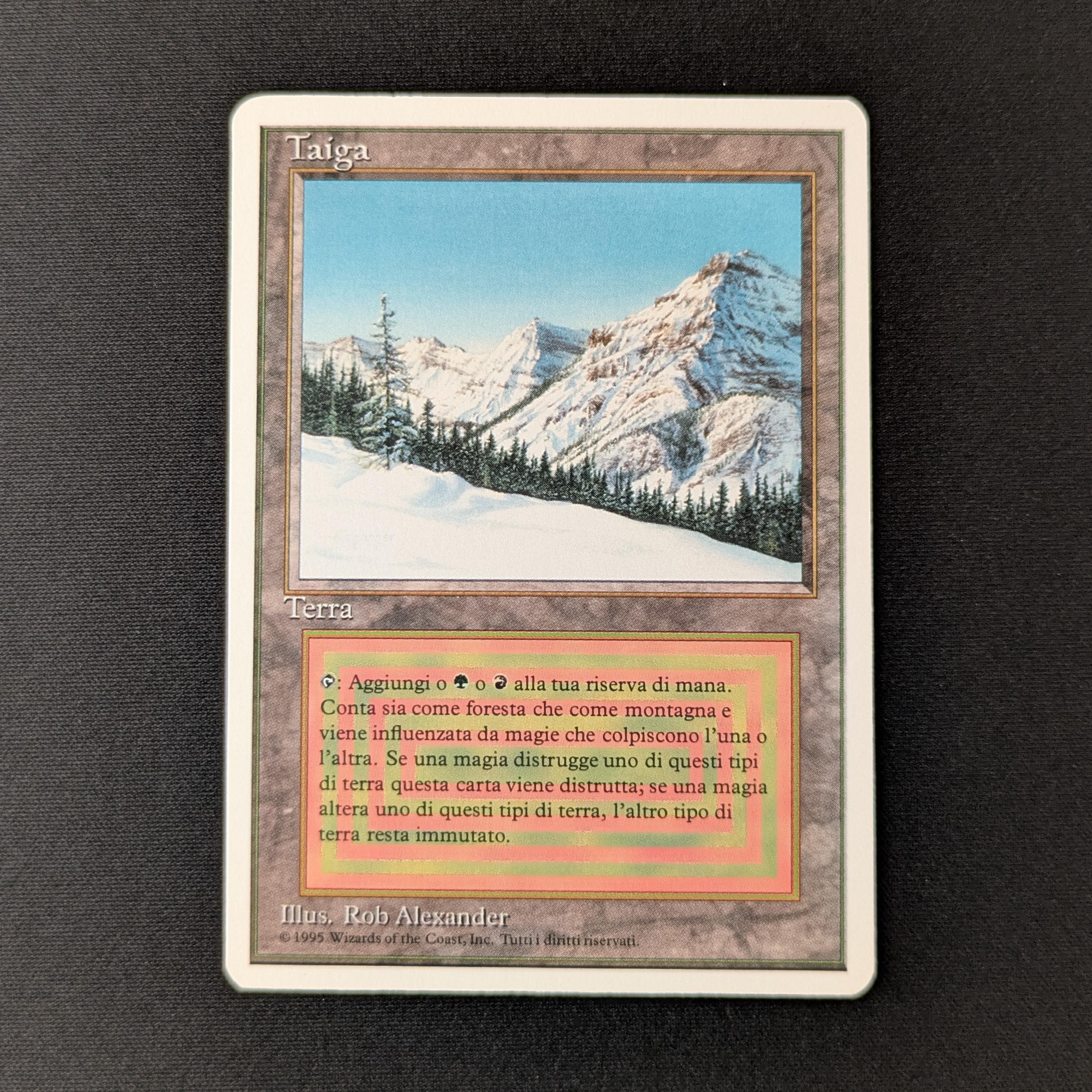 MTG Singles - Taiga - Foreign White Bordered - Italian - EX - 27745