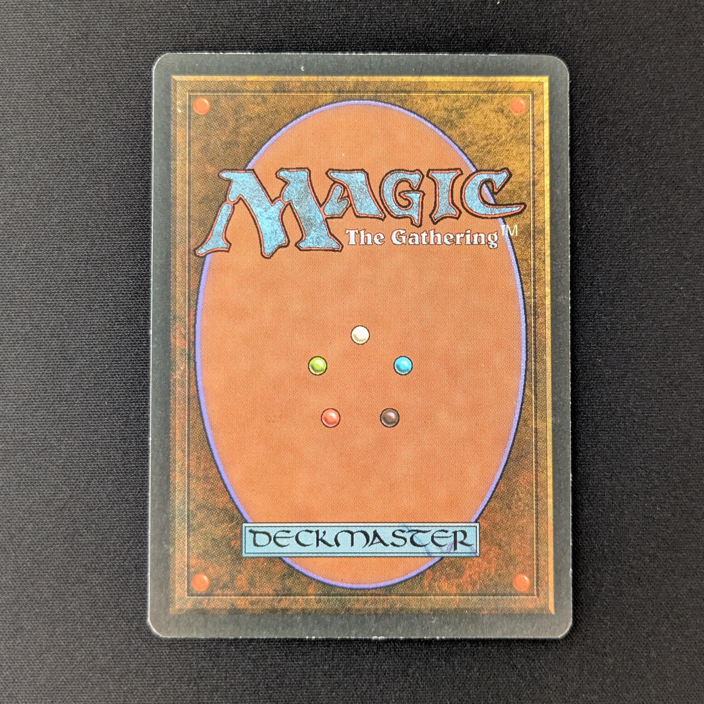MTG Singles - Taiga - Foreign White Bordered - 