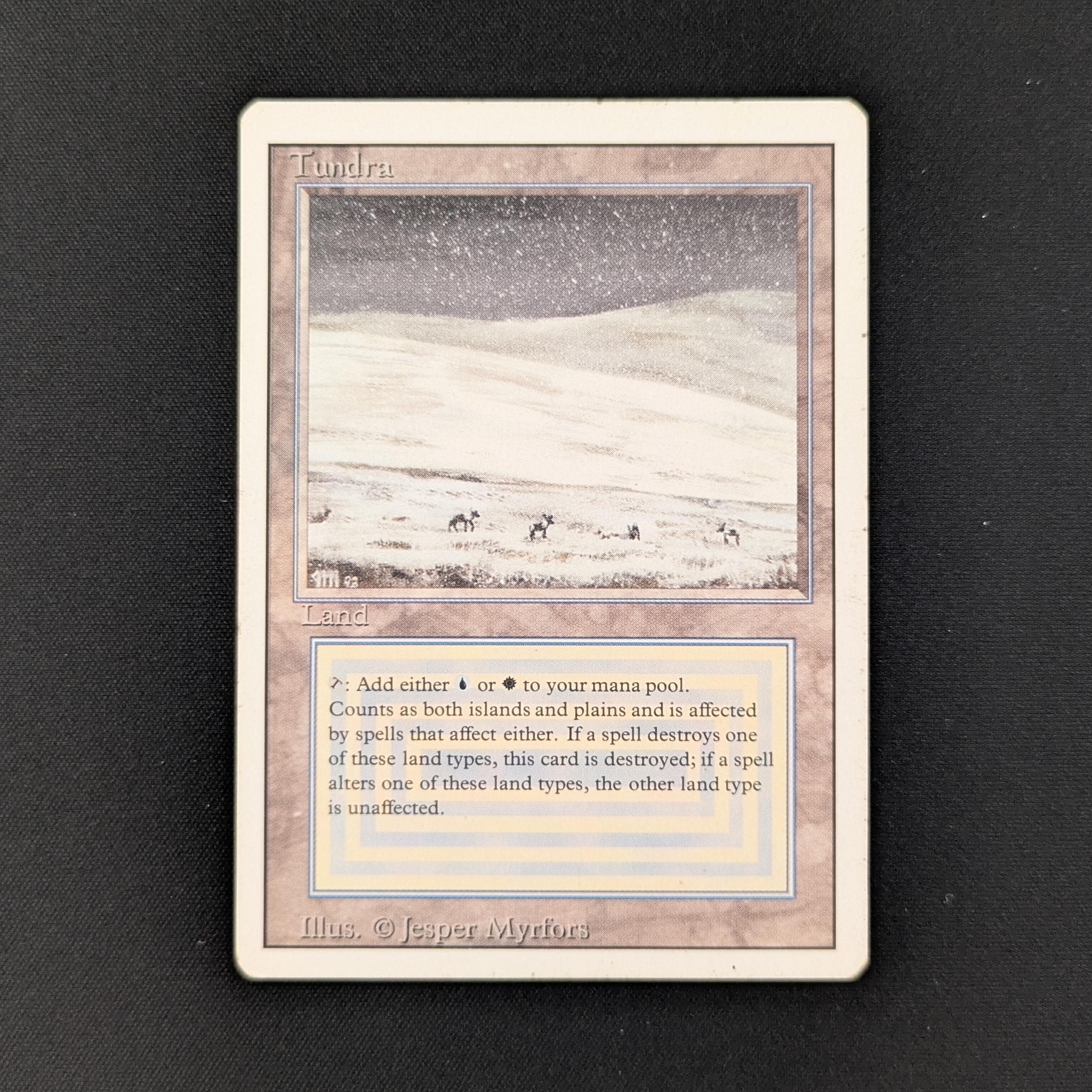 MTG Singles - Tundra - Revised - LP - 27838