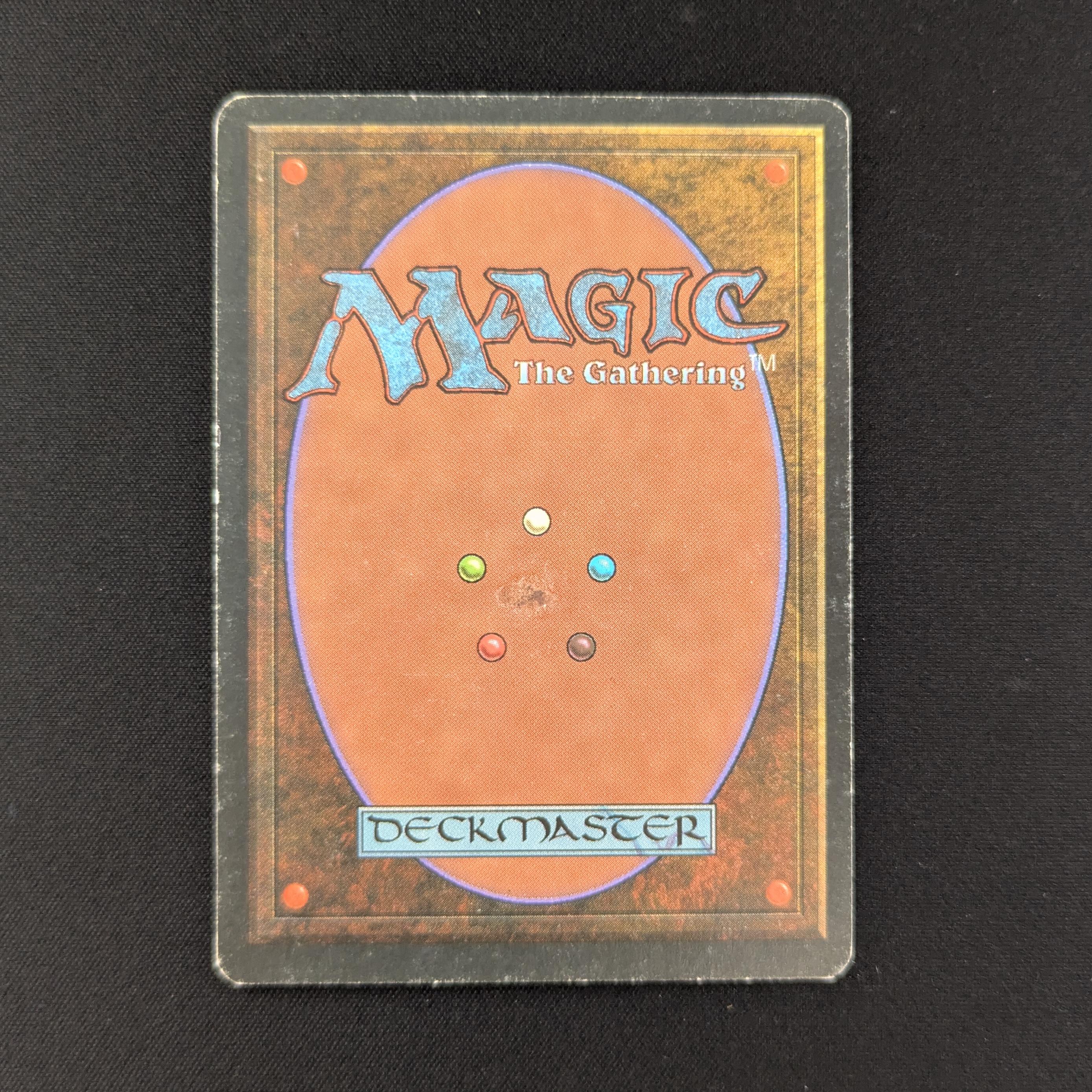 MTG Singles - Taiga - Foreign White Bordered - 