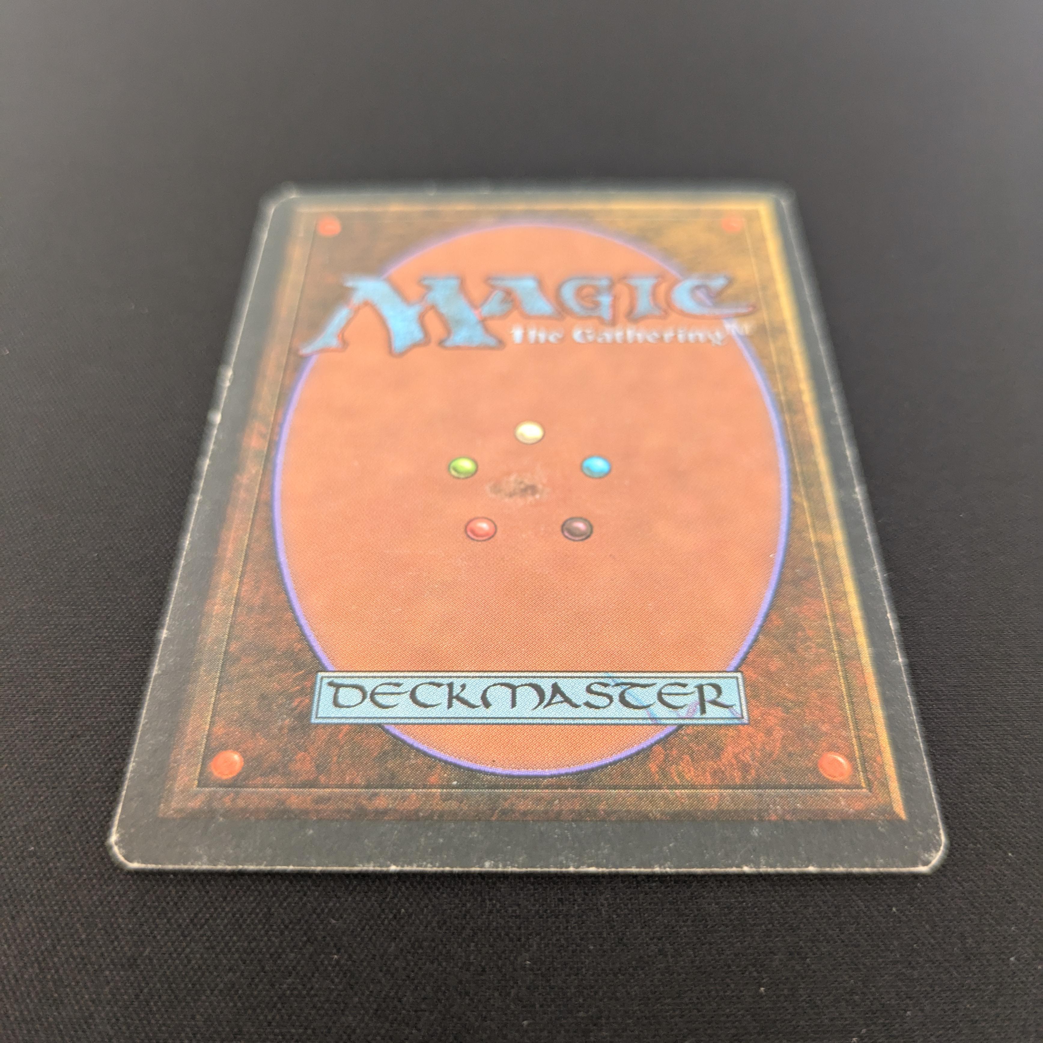 MTG Singles - Taiga - Foreign White Bordered - 
