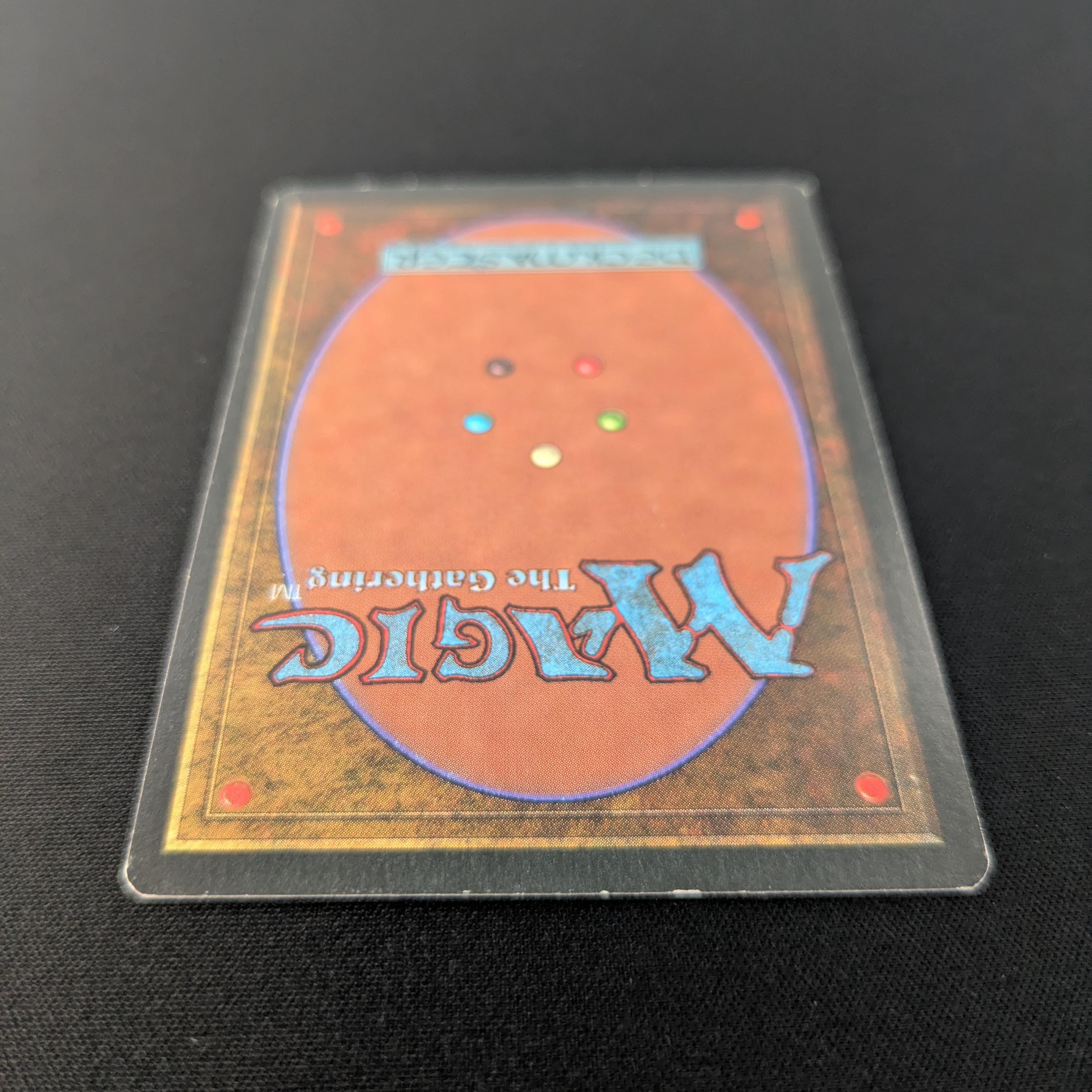 MTG Singles - Bayou - Revised - 