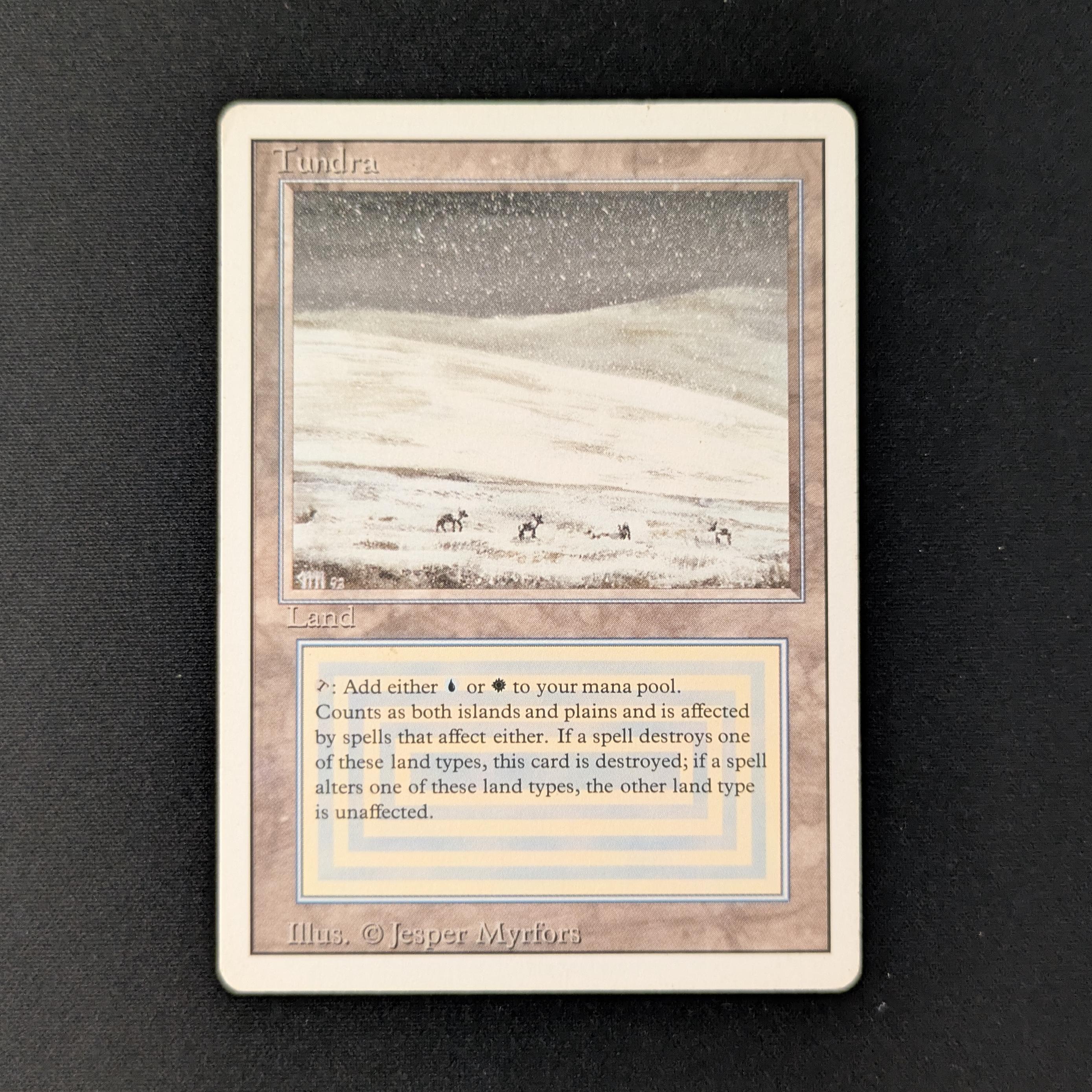 MTG Singles - Tundra - Revised - 