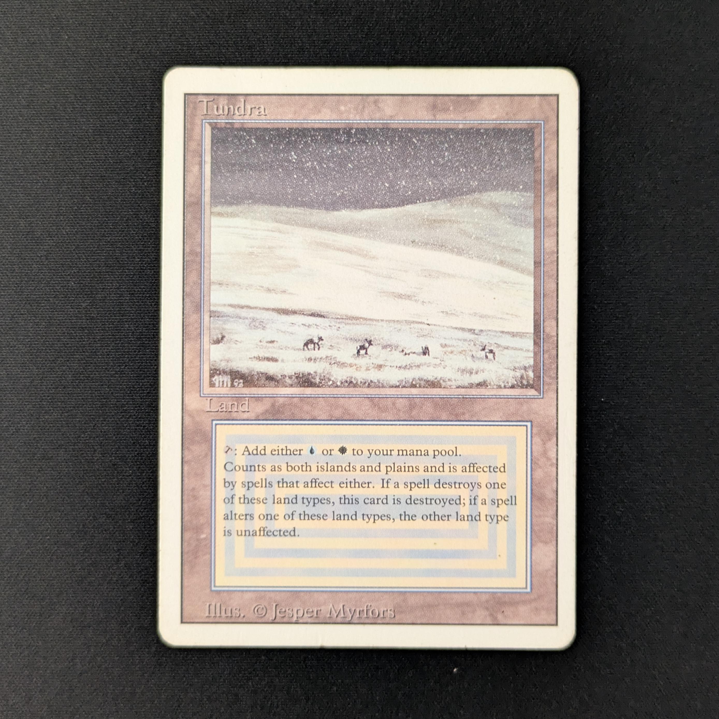 MTG Singles - Tundra - Revised - PL - 27919