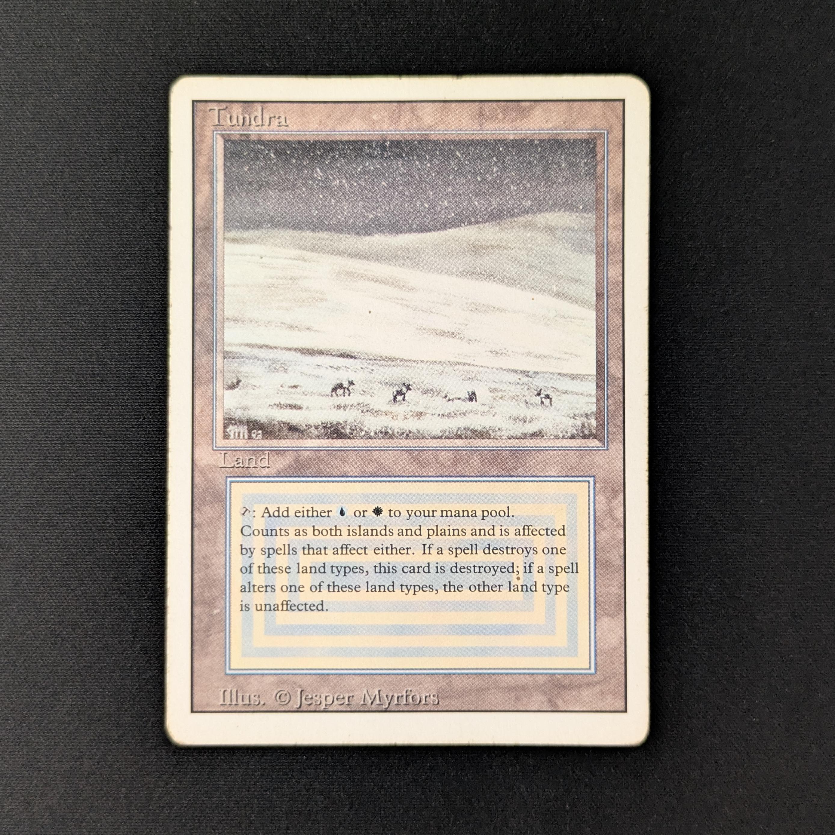 MTG Singles - Tundra - Revised - PL - 27921