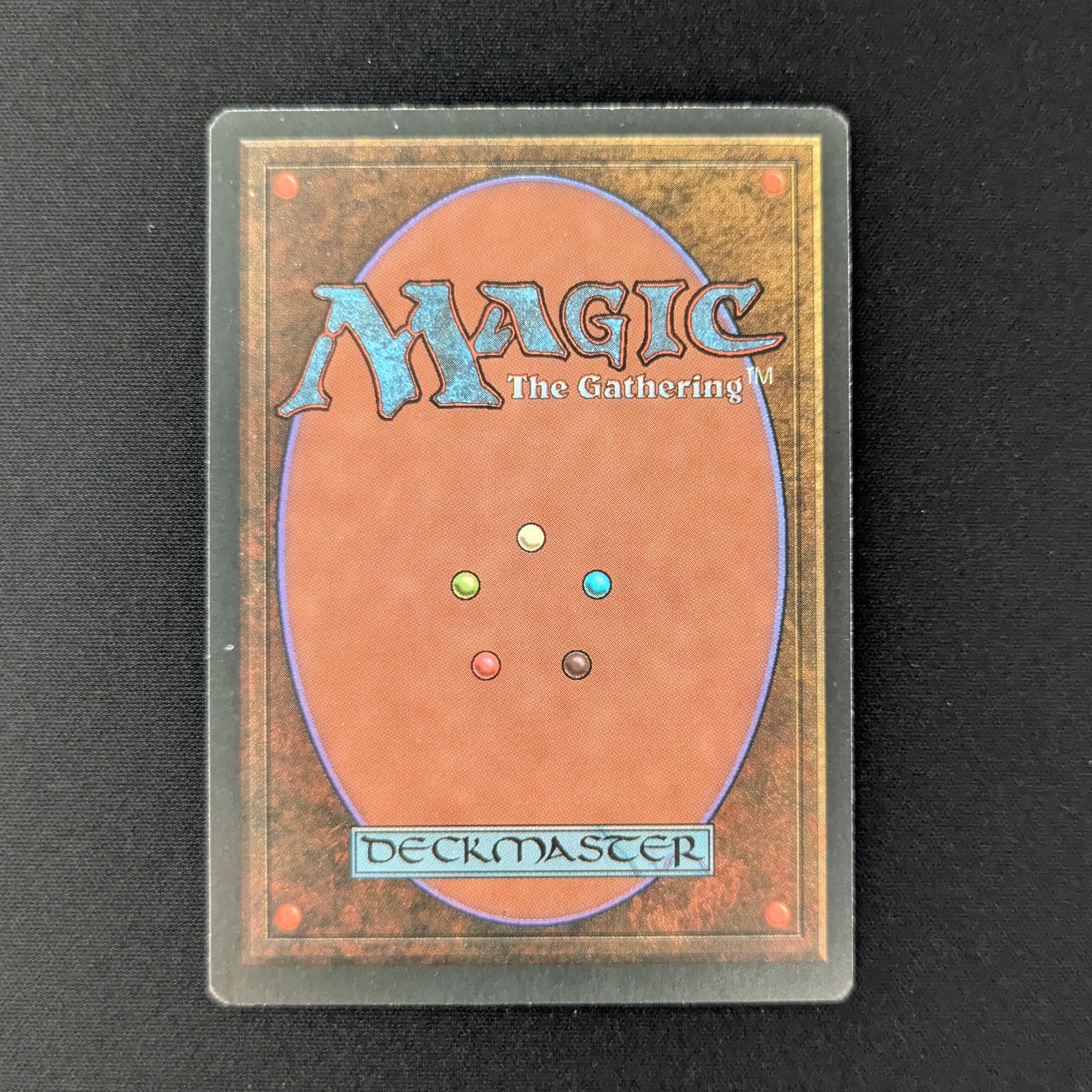 MTG Singles - Taiga - Foreign White Bordered - 