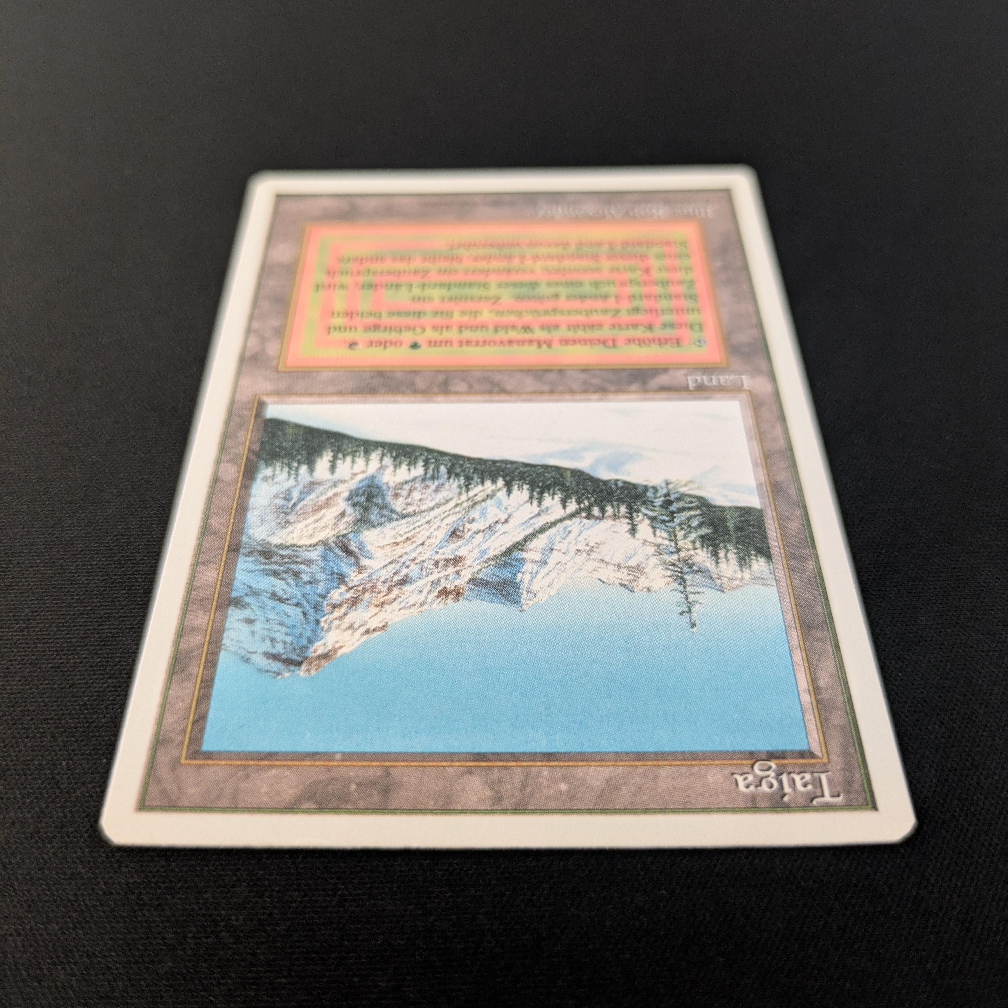 MTG Singles - Taiga - Foreign White Bordered - 