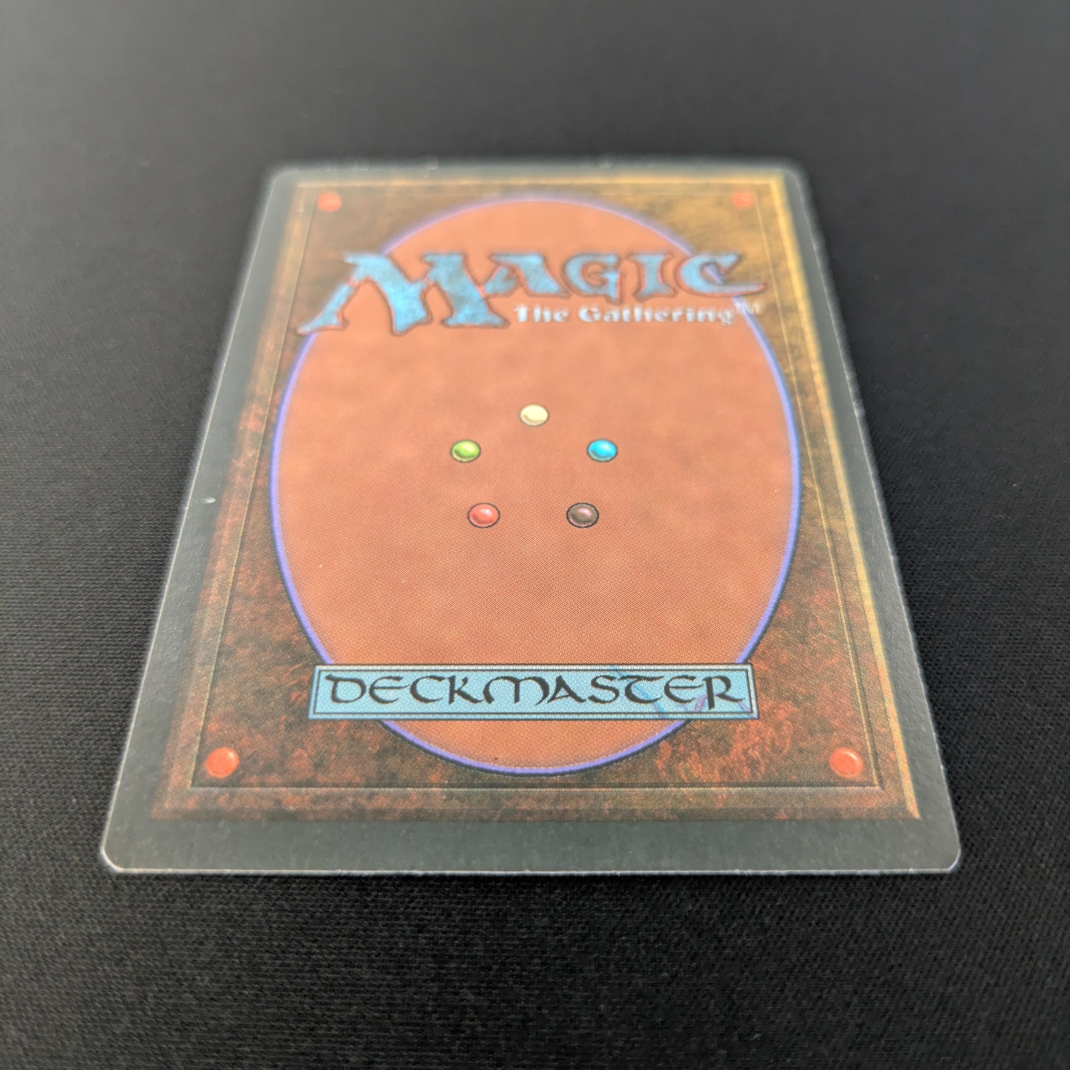 MTG Singles - Taiga - Foreign White Bordered - 