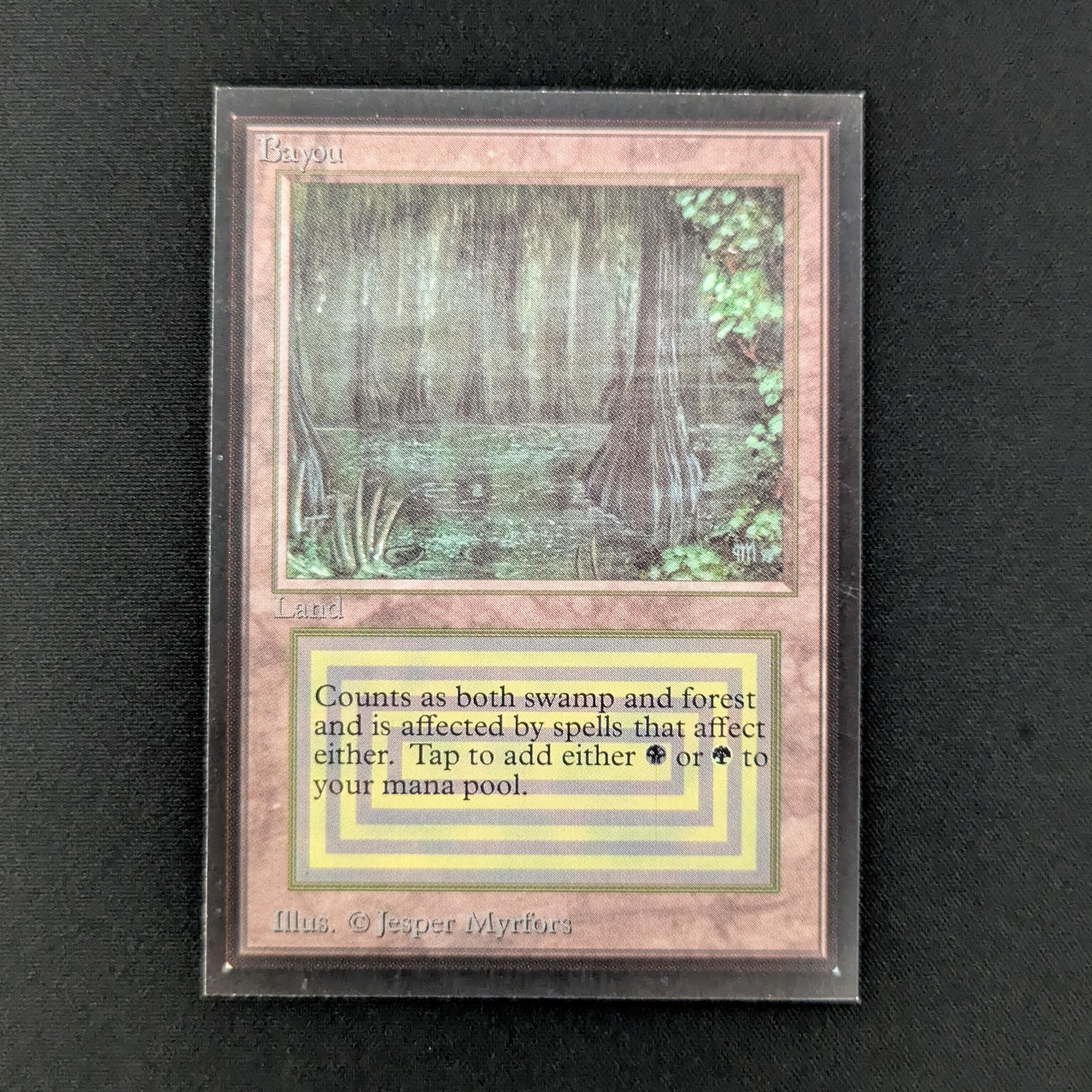 MTG Singles - Bayou - Collectors' Edition - NM - 28010