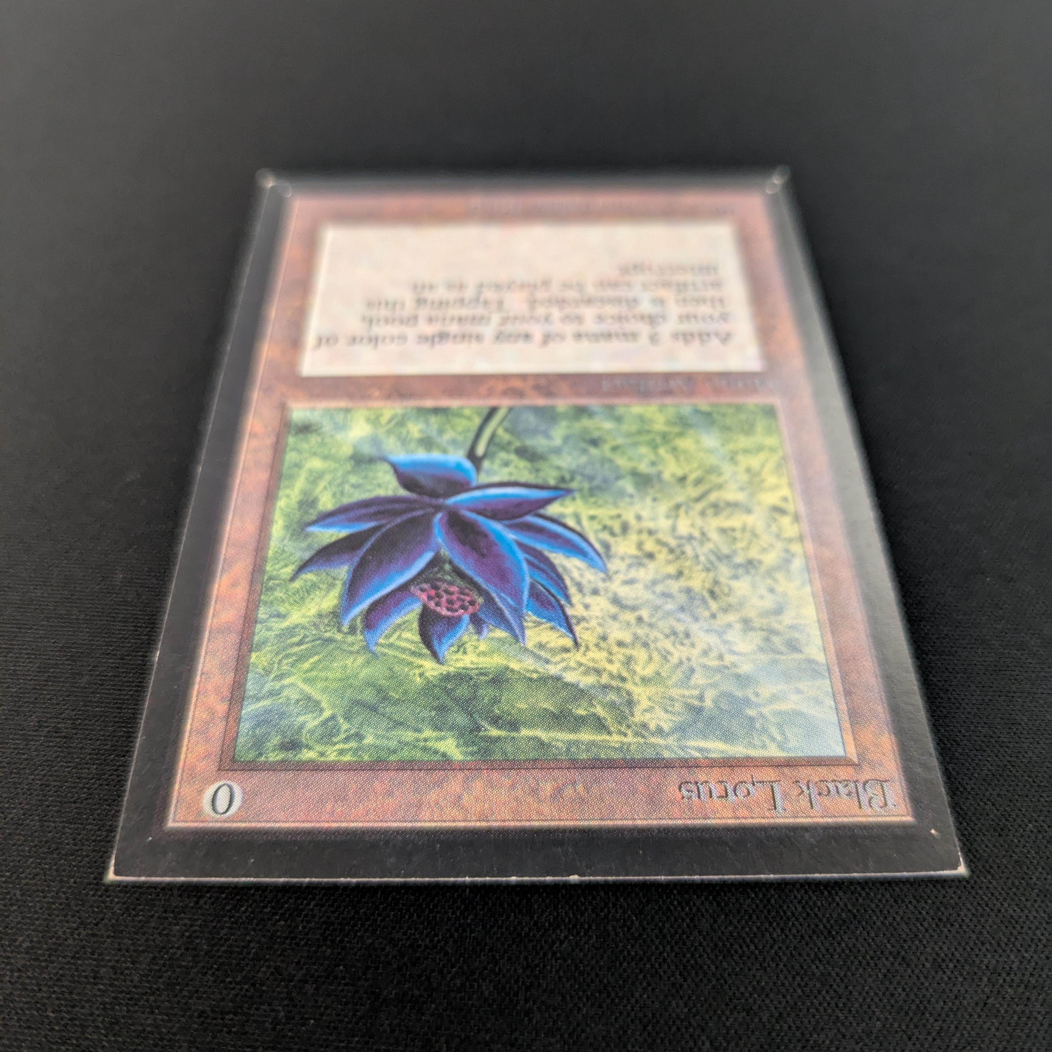 MTG Singles - Black Lotus - International Edition - 