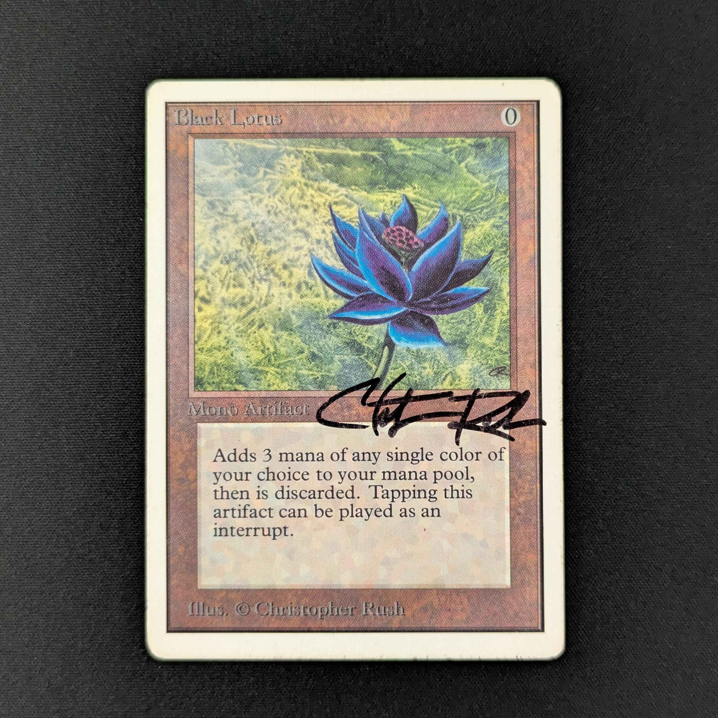 MTG Singles - Black Lotus - Unlimited - PL - SIGNED - 28093
