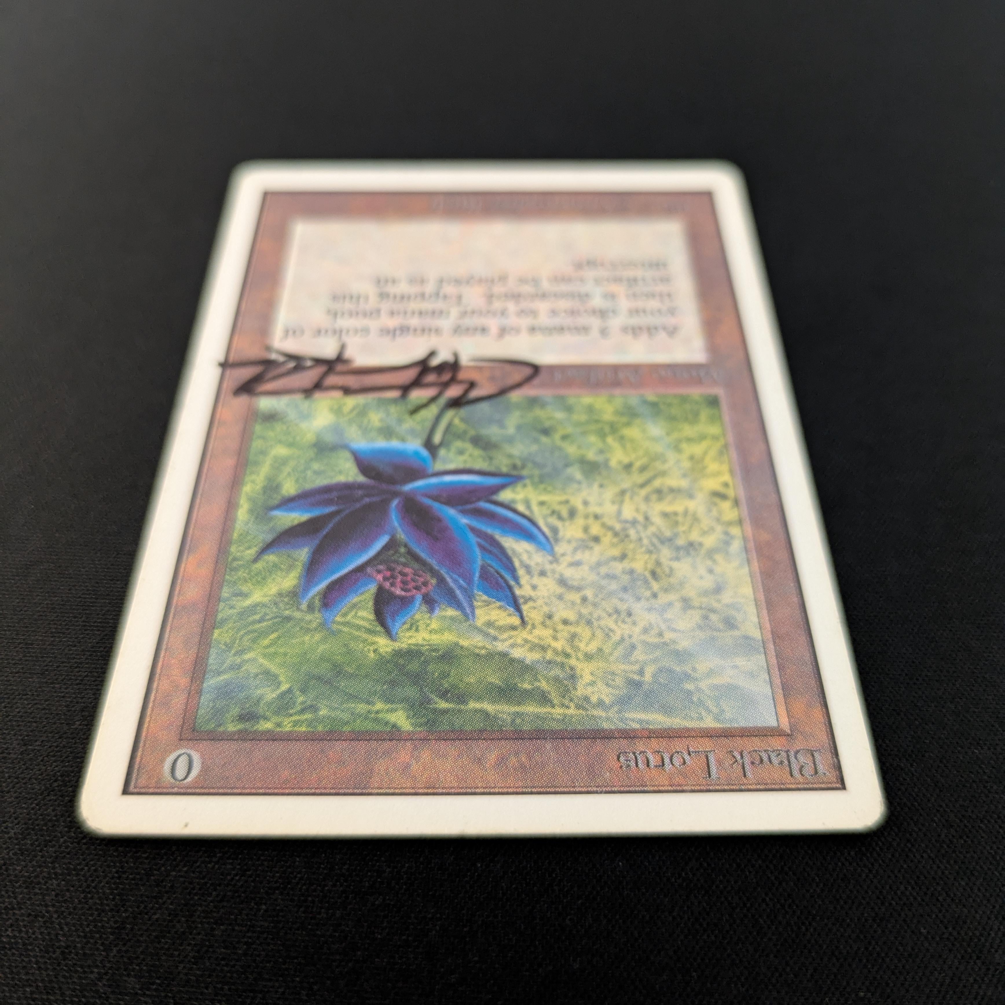 MTG Singles - Black Lotus - Unlimited - 