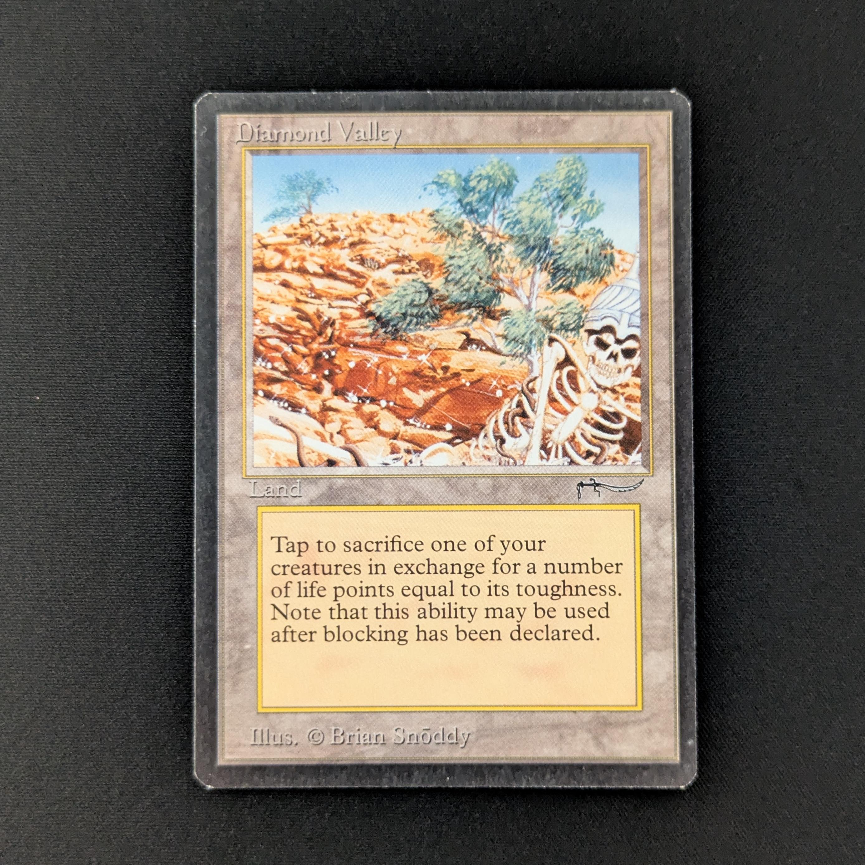 MTG Singles - Diamond Valley - Arabian Nights - GD - DING - 28105