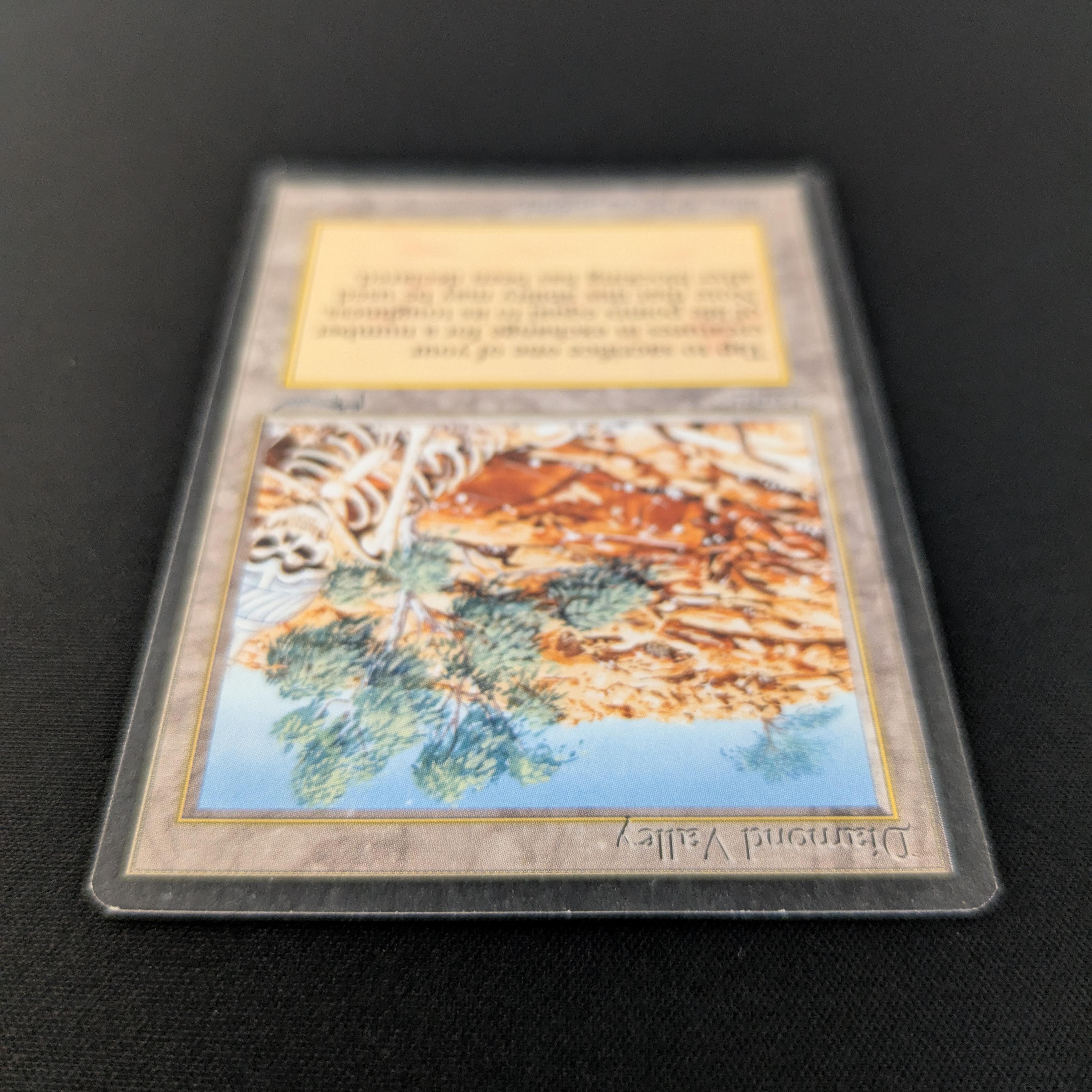 MTG Singles - Diamond Valley - Arabian Nights - 