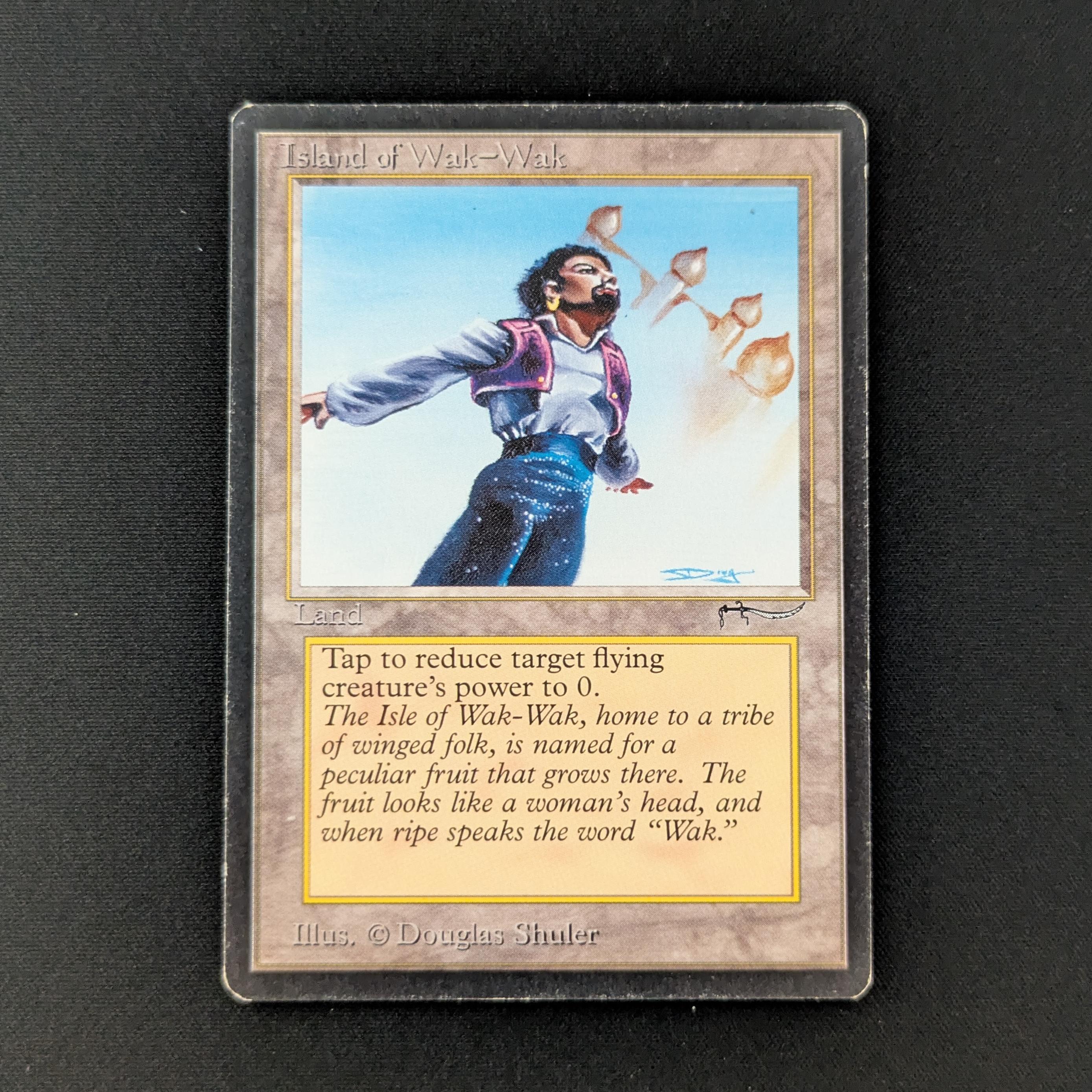MTG Singles - Island of Wak-Wak - Arabian Nights - LP - 28106
