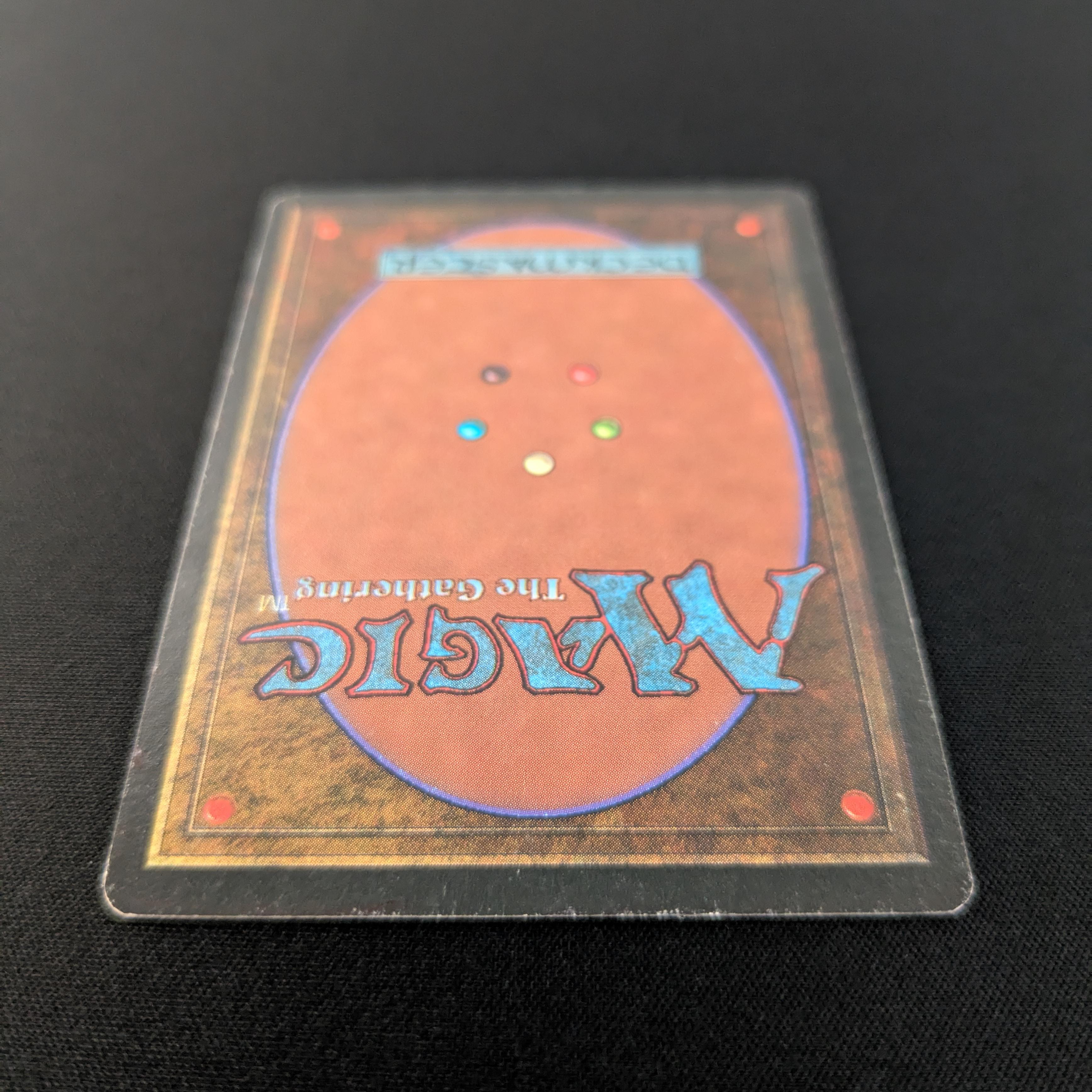 MTG Singles - Bayou - Revised - 