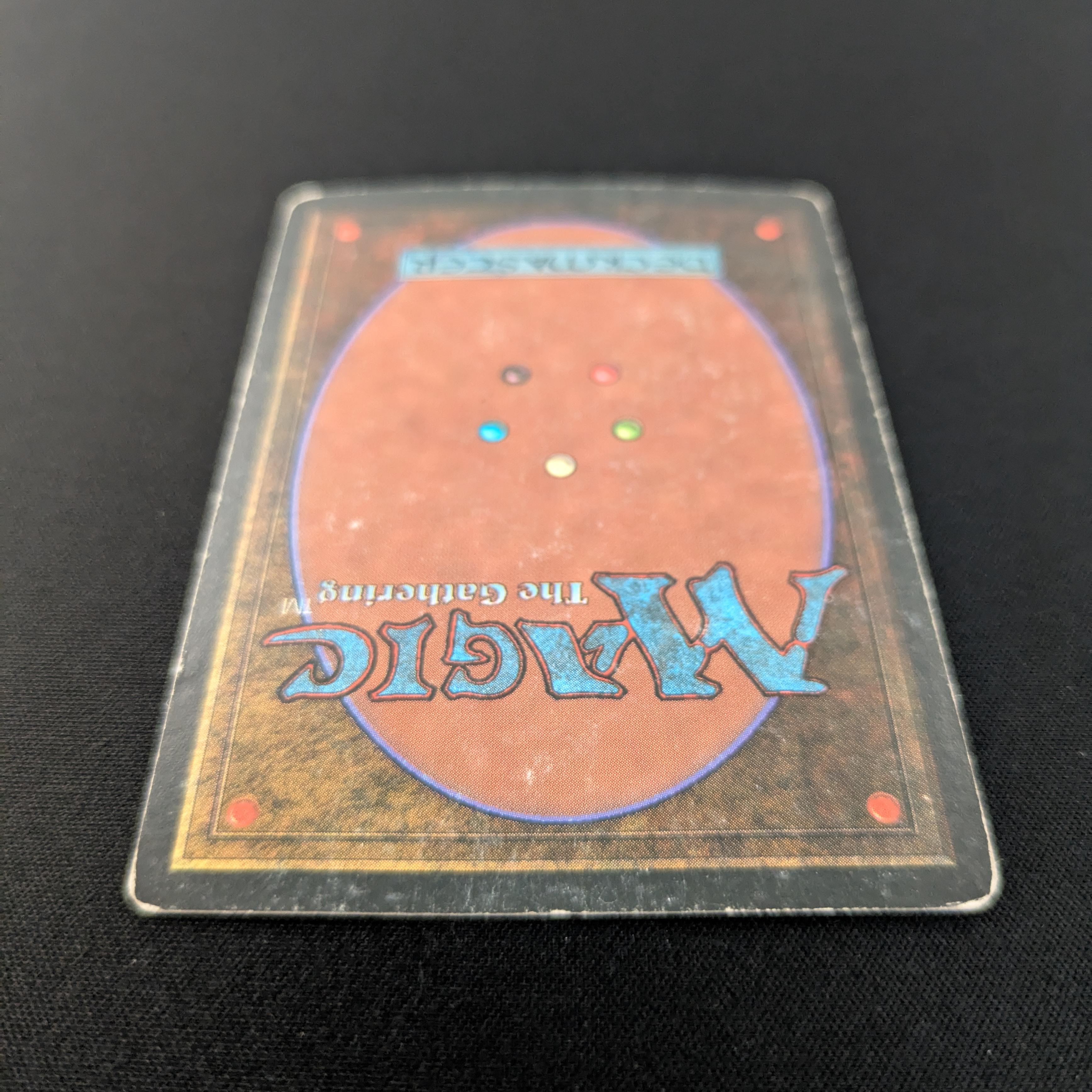 MTG Singles - Bayou - Revised - 