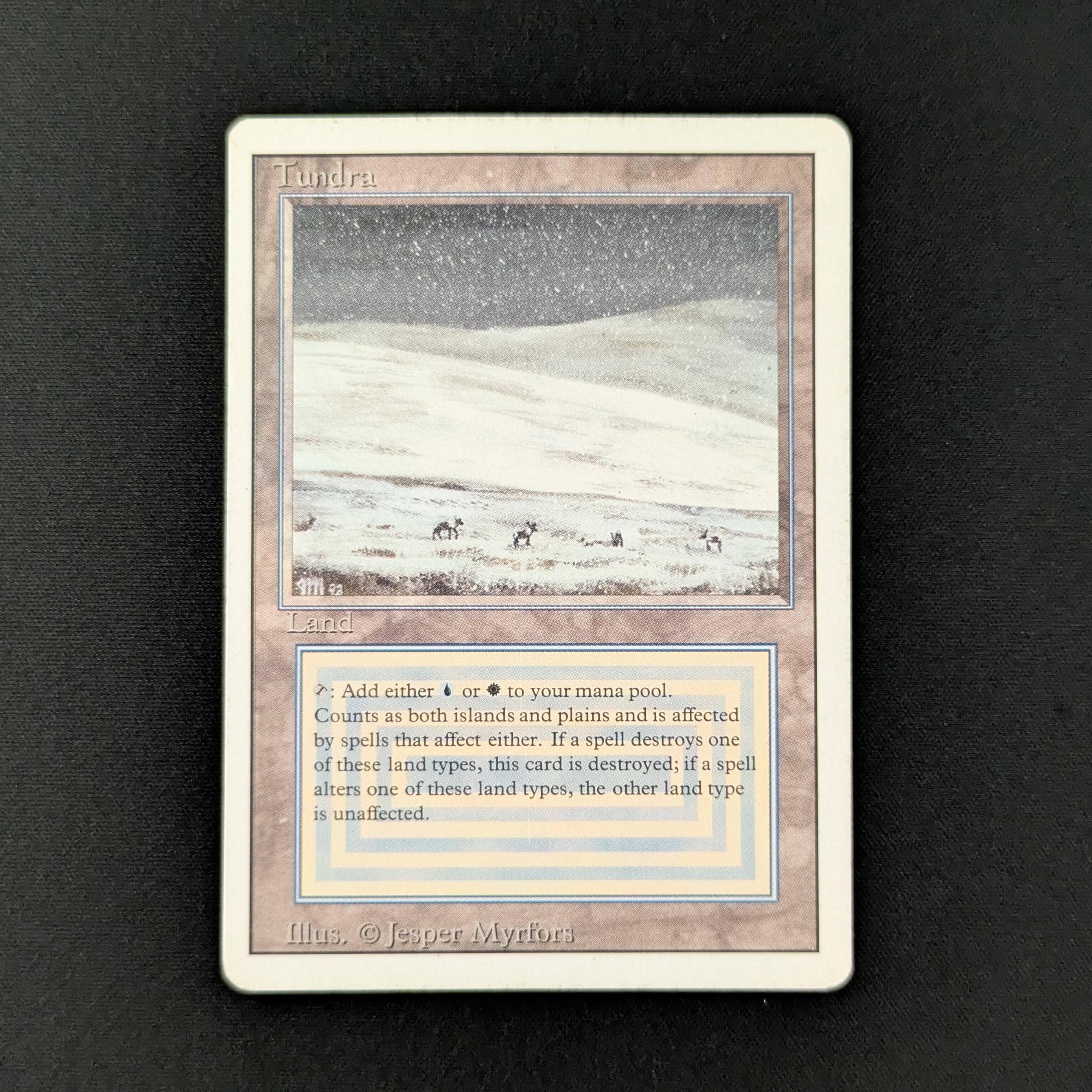 MTG Singles - Tundra - Revised - PL - 28145