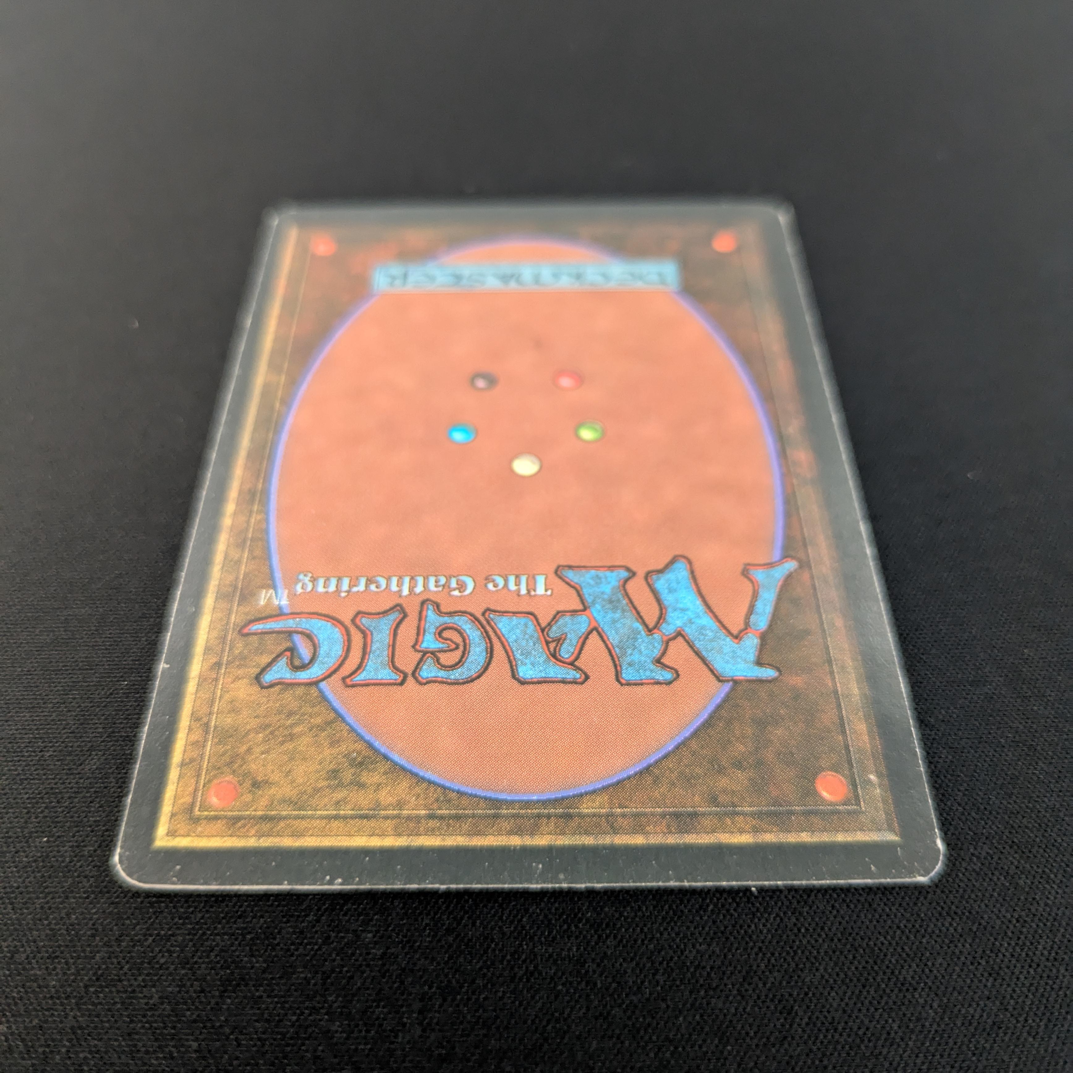 MTG Singles - Bayou - Foreign White Bordered - 