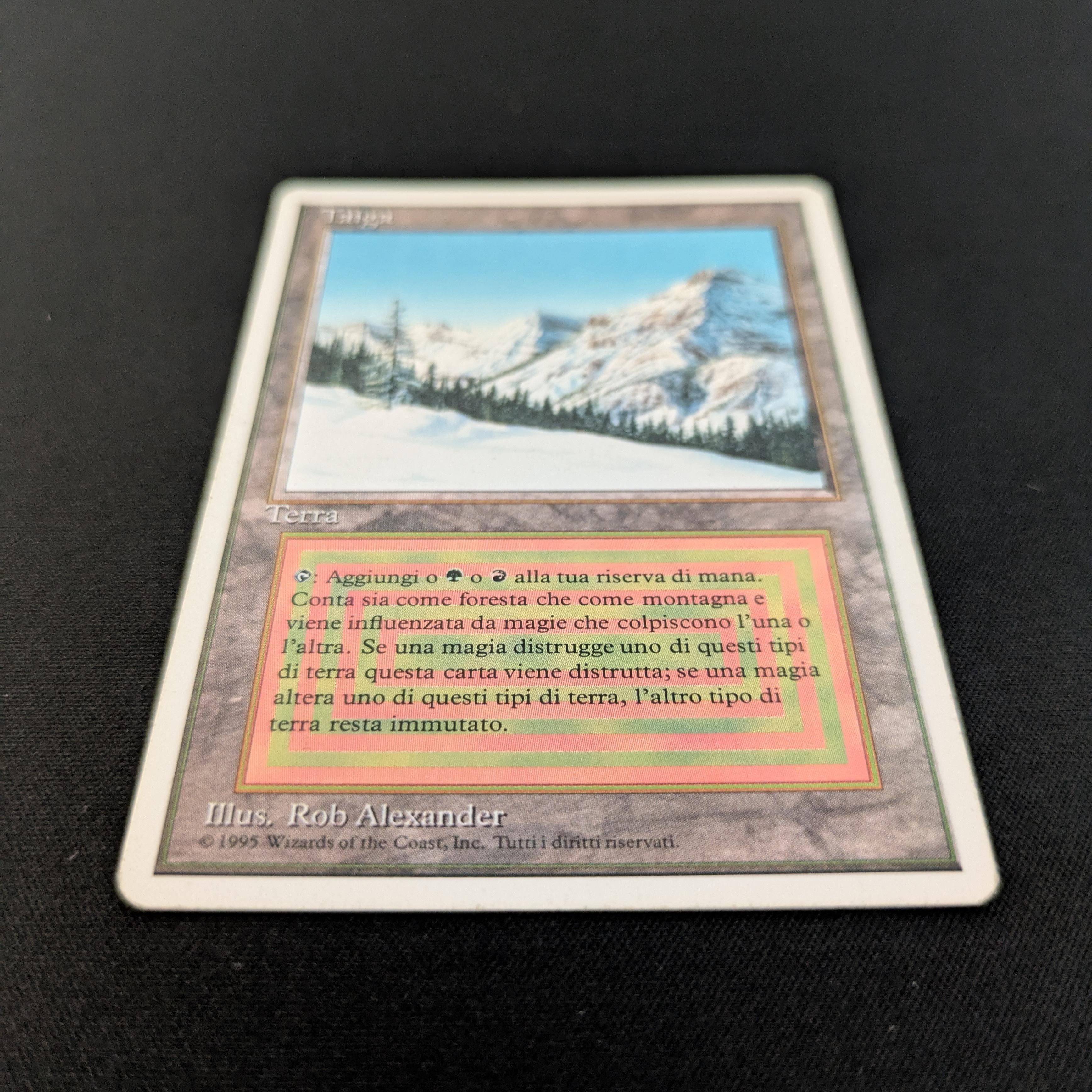 MTG Singles - Taiga - Foreign White Bordered - 