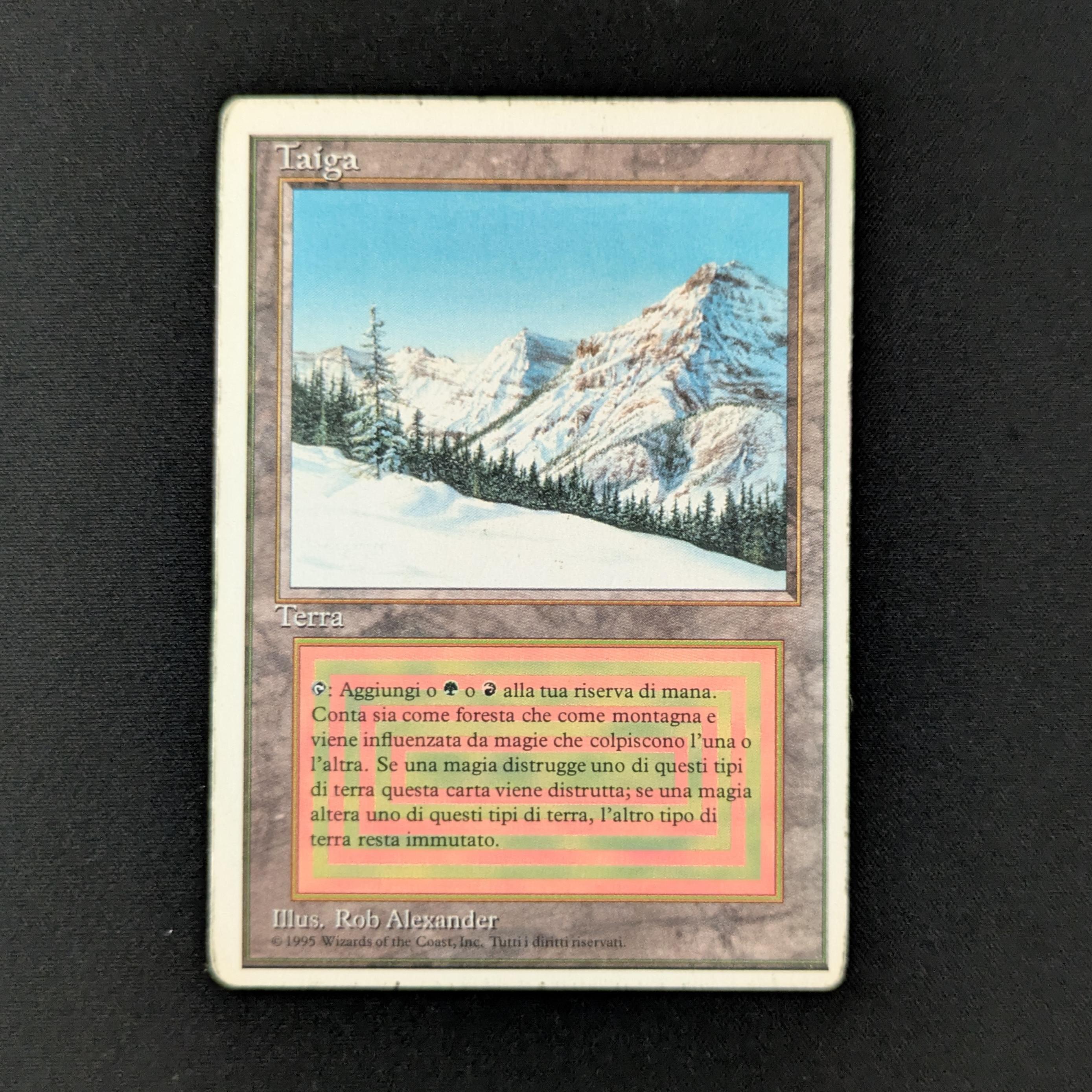 MTG Singles - Taiga - Foreign White Bordered - Italian - PL - 28161