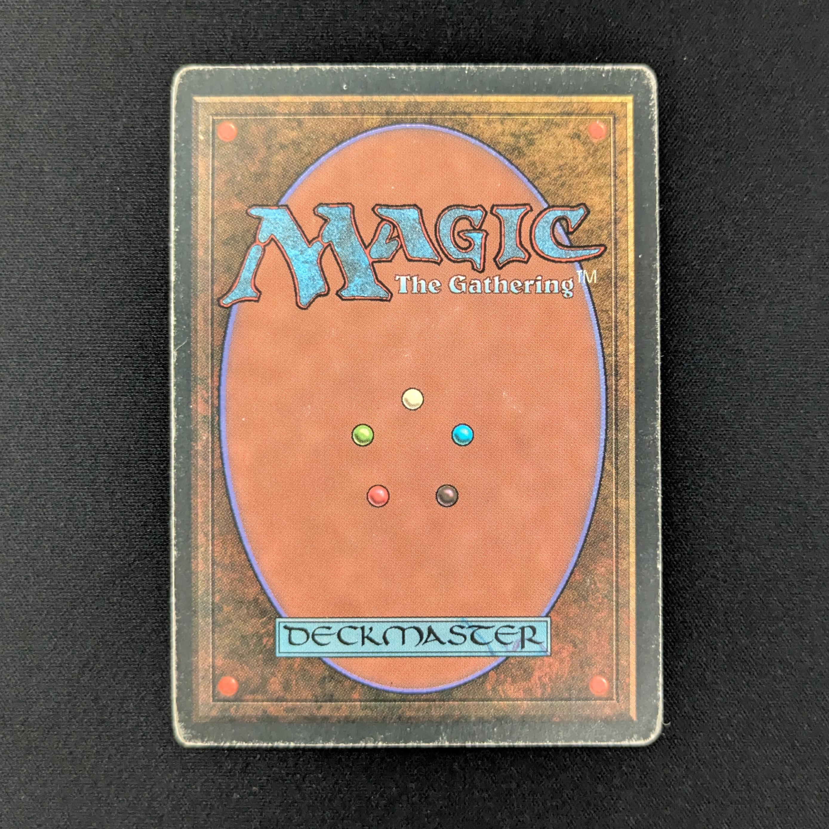MTG Singles - Taiga - Foreign White Bordered - 