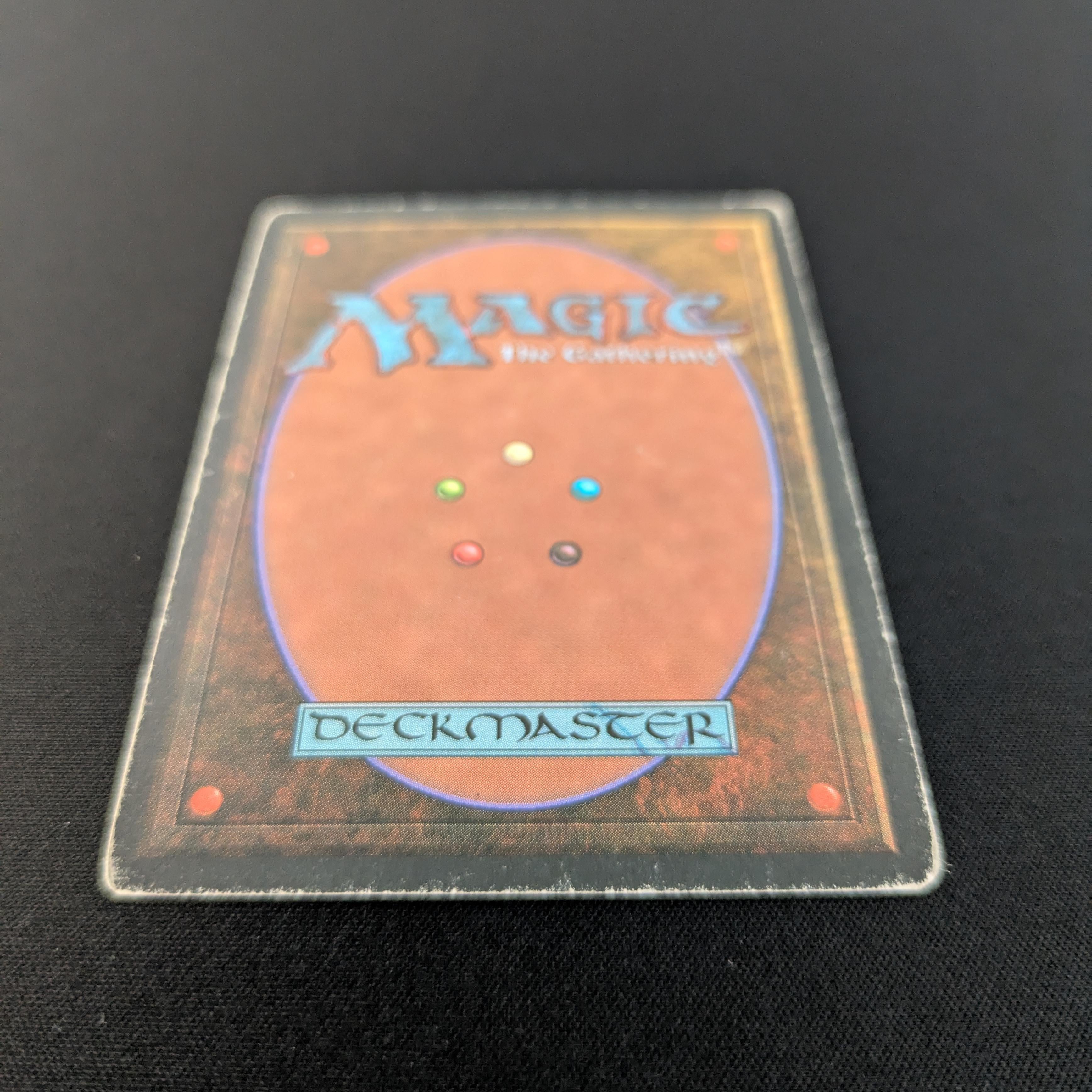 MTG Singles - Taiga - Foreign White Bordered - 