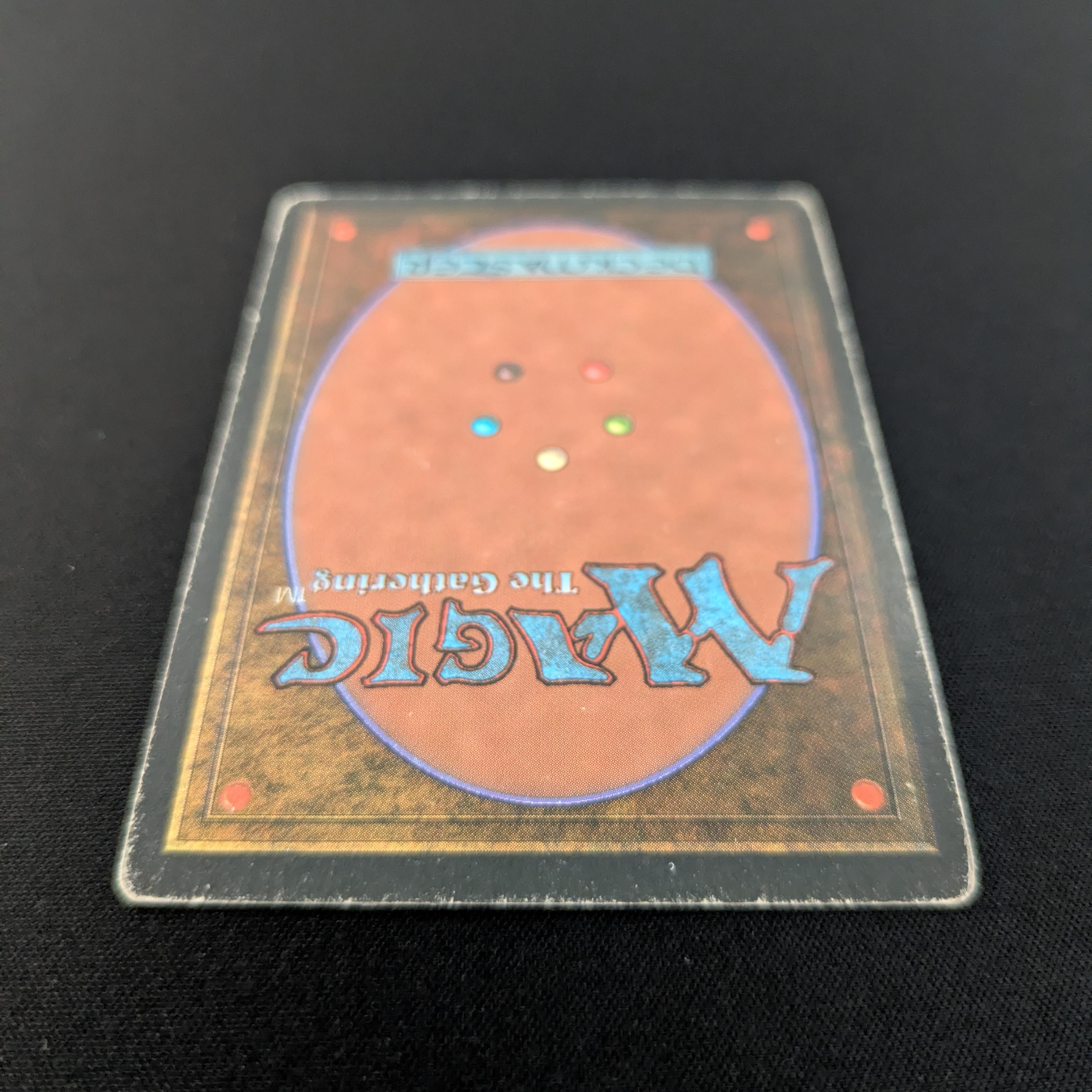 MTG Singles - Taiga - Foreign White Bordered - 