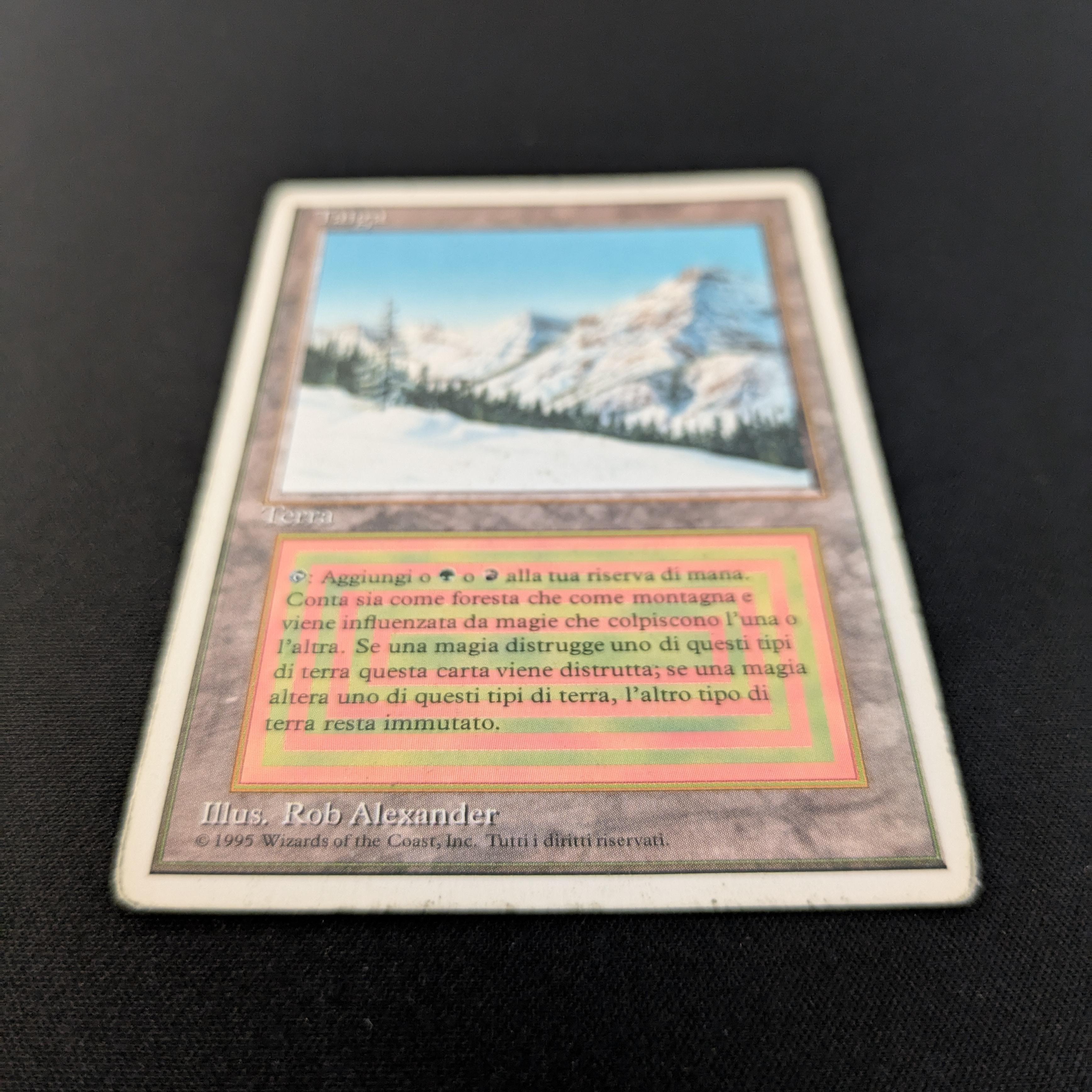 MTG Singles - Taiga - Foreign White Bordered - 