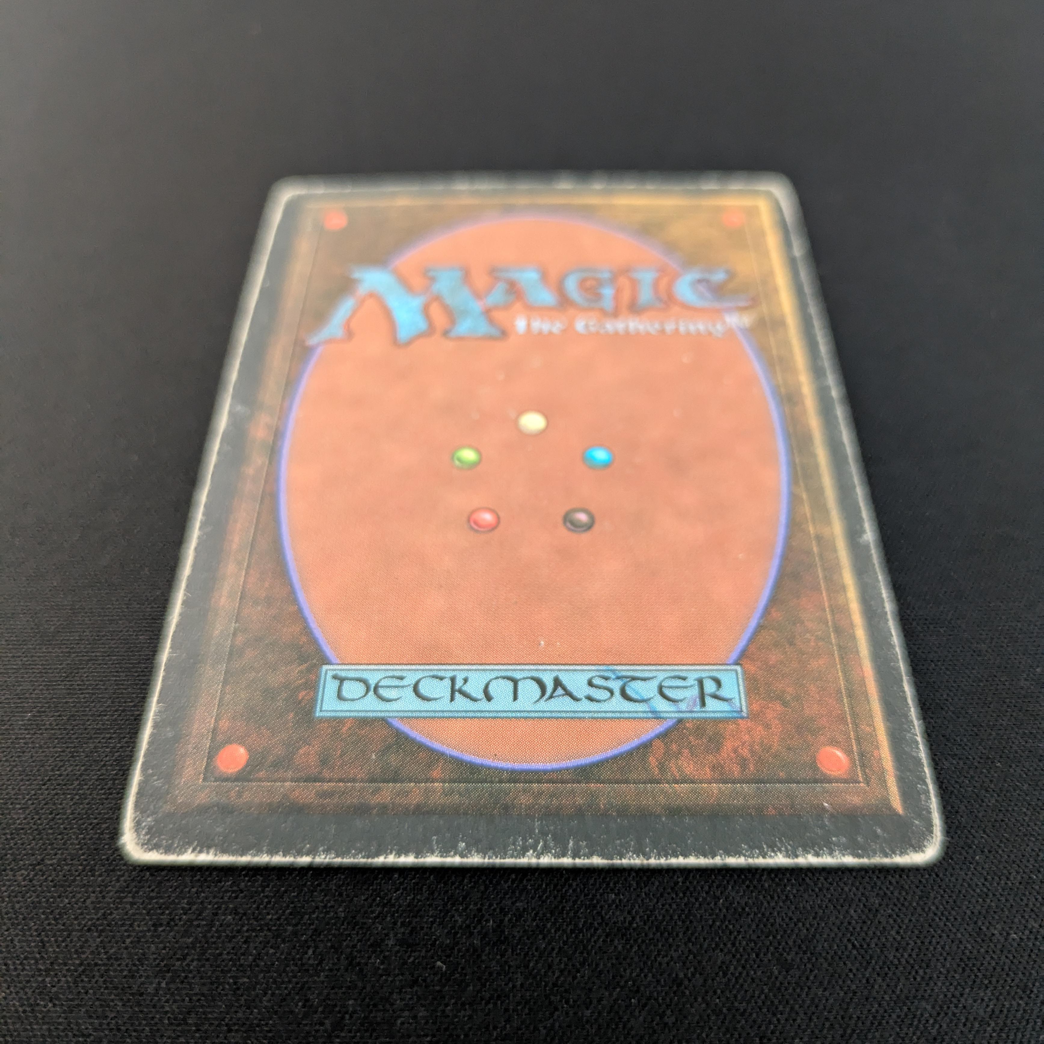 MTG Singles - Taiga - Foreign White Bordered - 