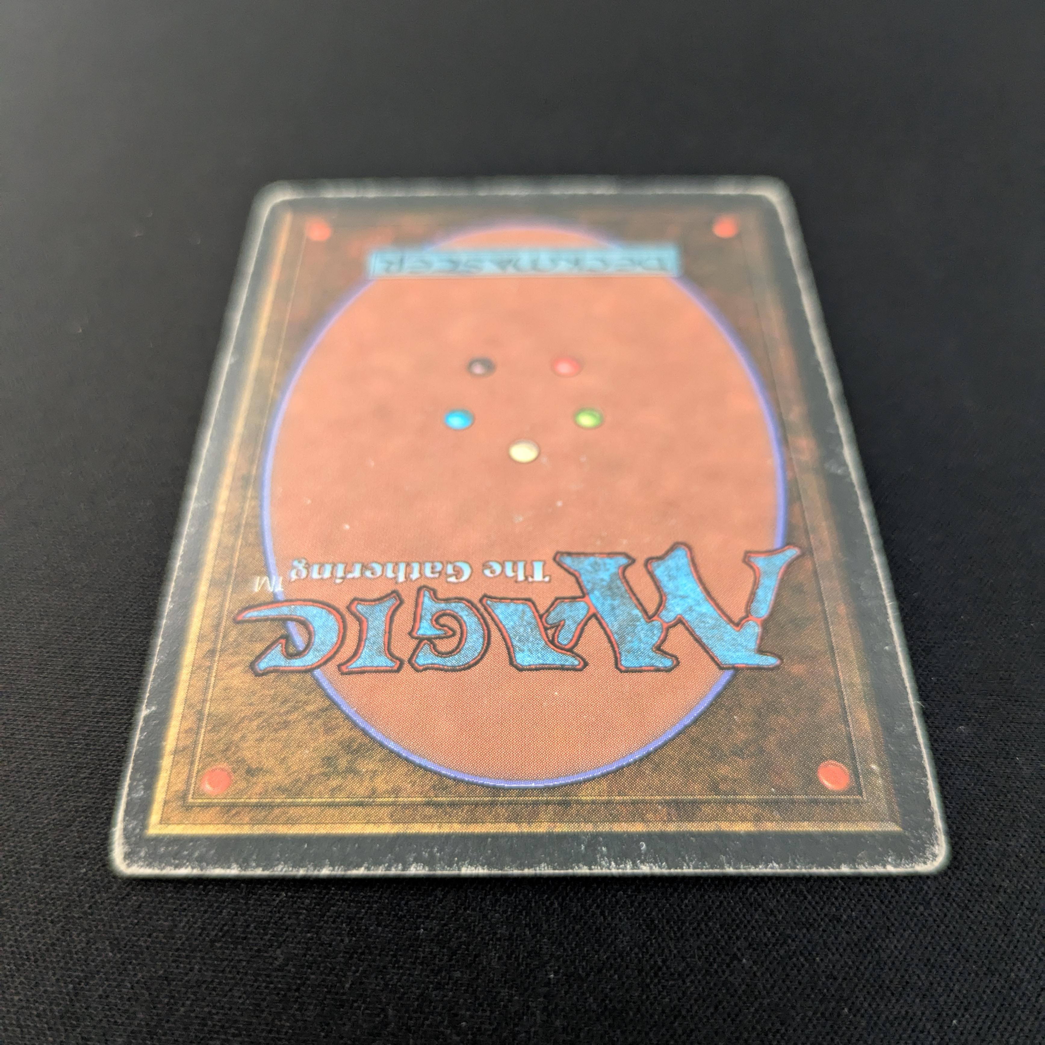 MTG Singles - Taiga - Foreign White Bordered - 