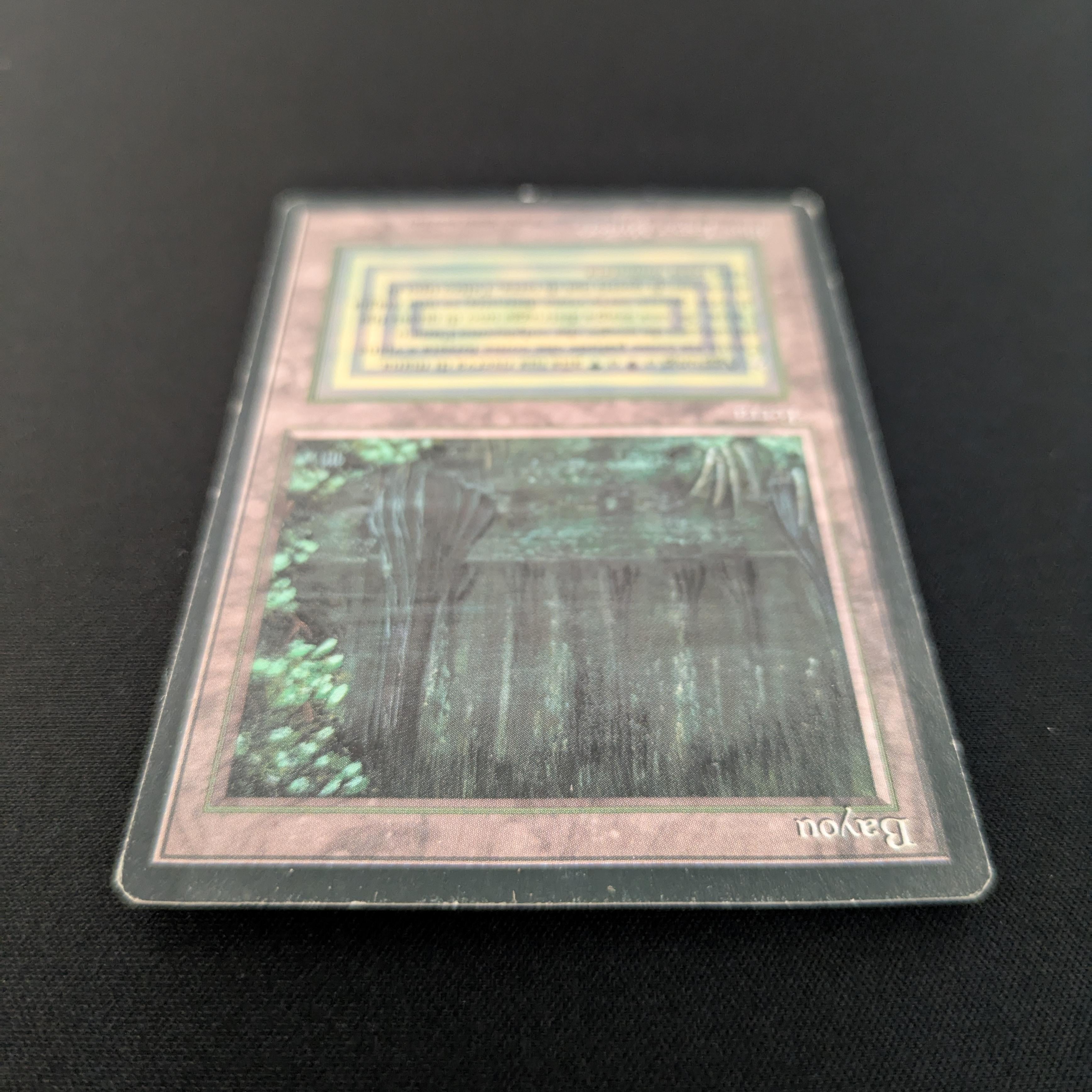MTG Singles - Bayou - Foreign Black Bordered - 