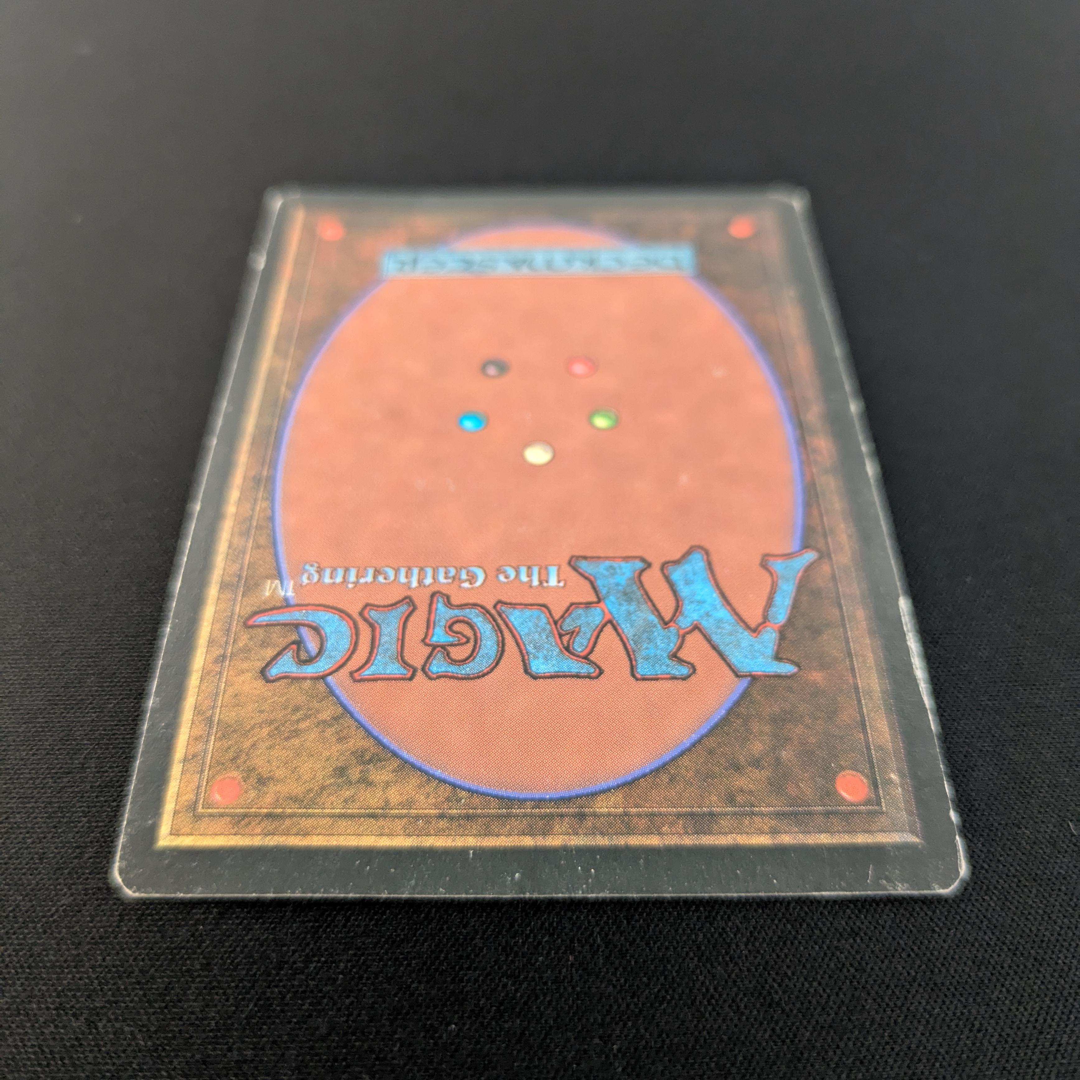 MTG Singles - Bayou - Foreign Black Bordered - 