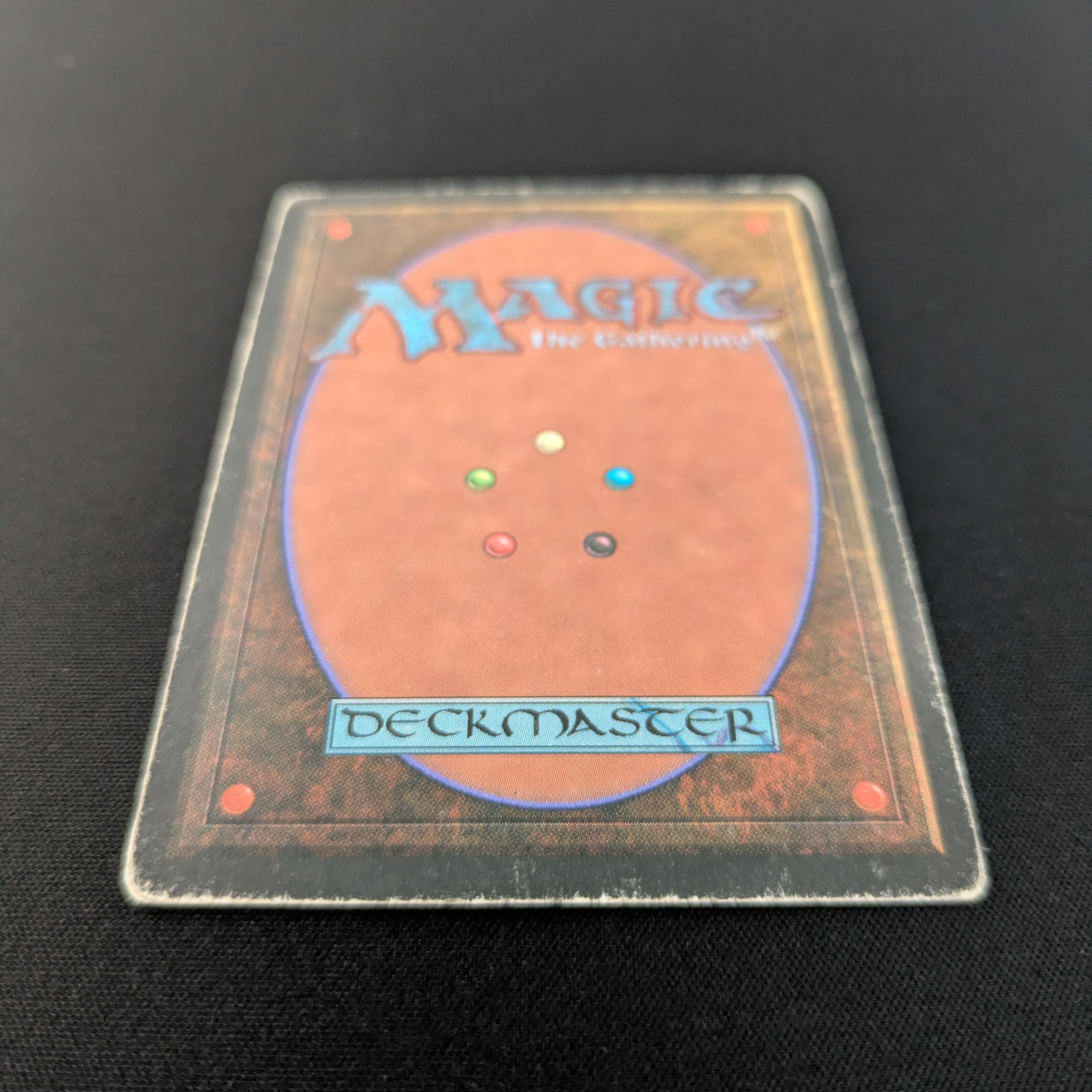 MTG Singles - Taiga - Foreign Black Bordered - 