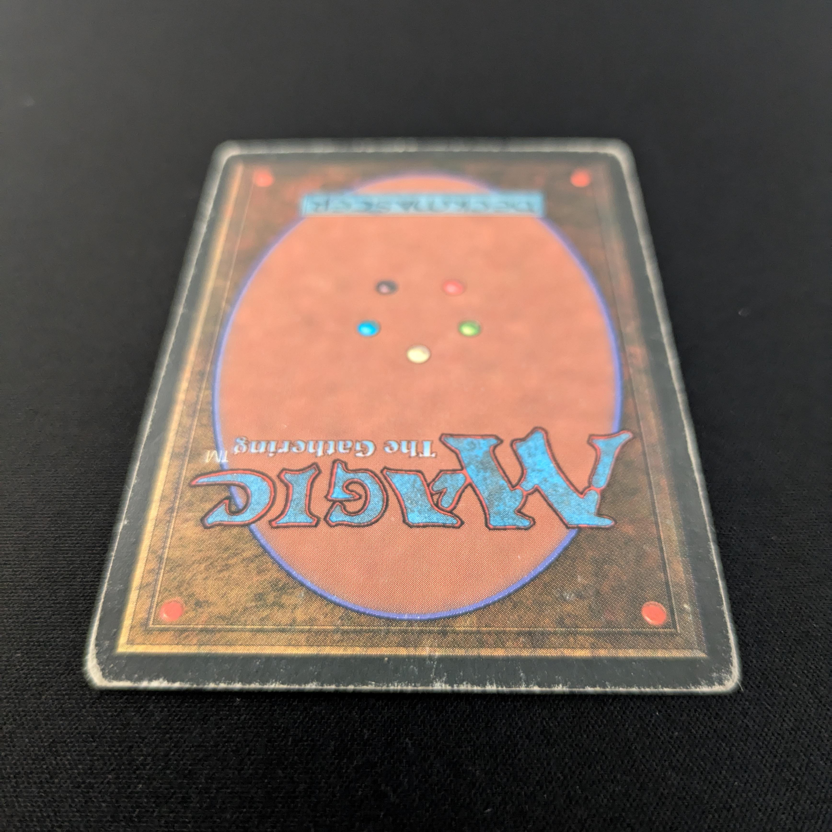 MTG Singles - Taiga - Foreign Black Bordered - 