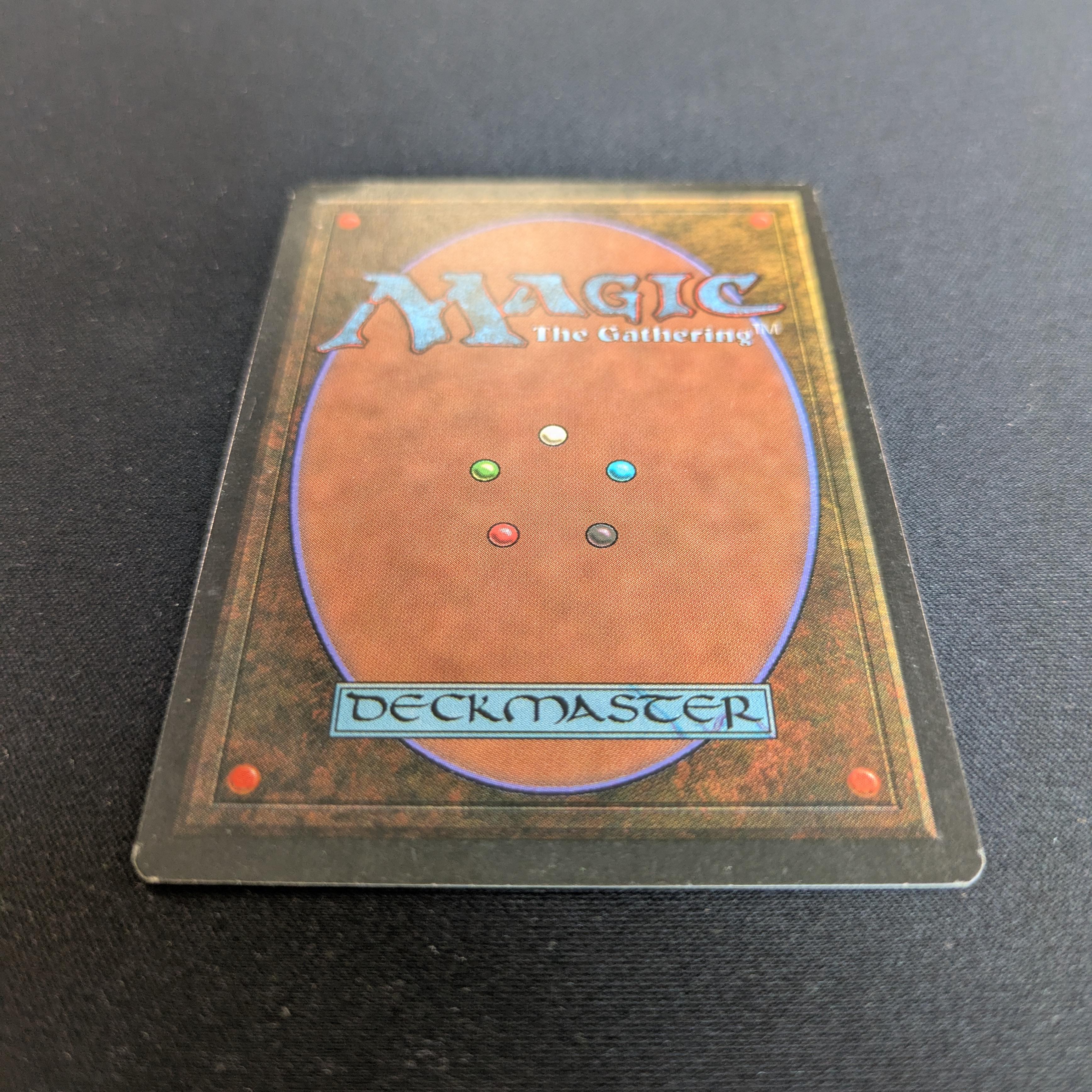 MTG Singles - Taiga - Revised - 