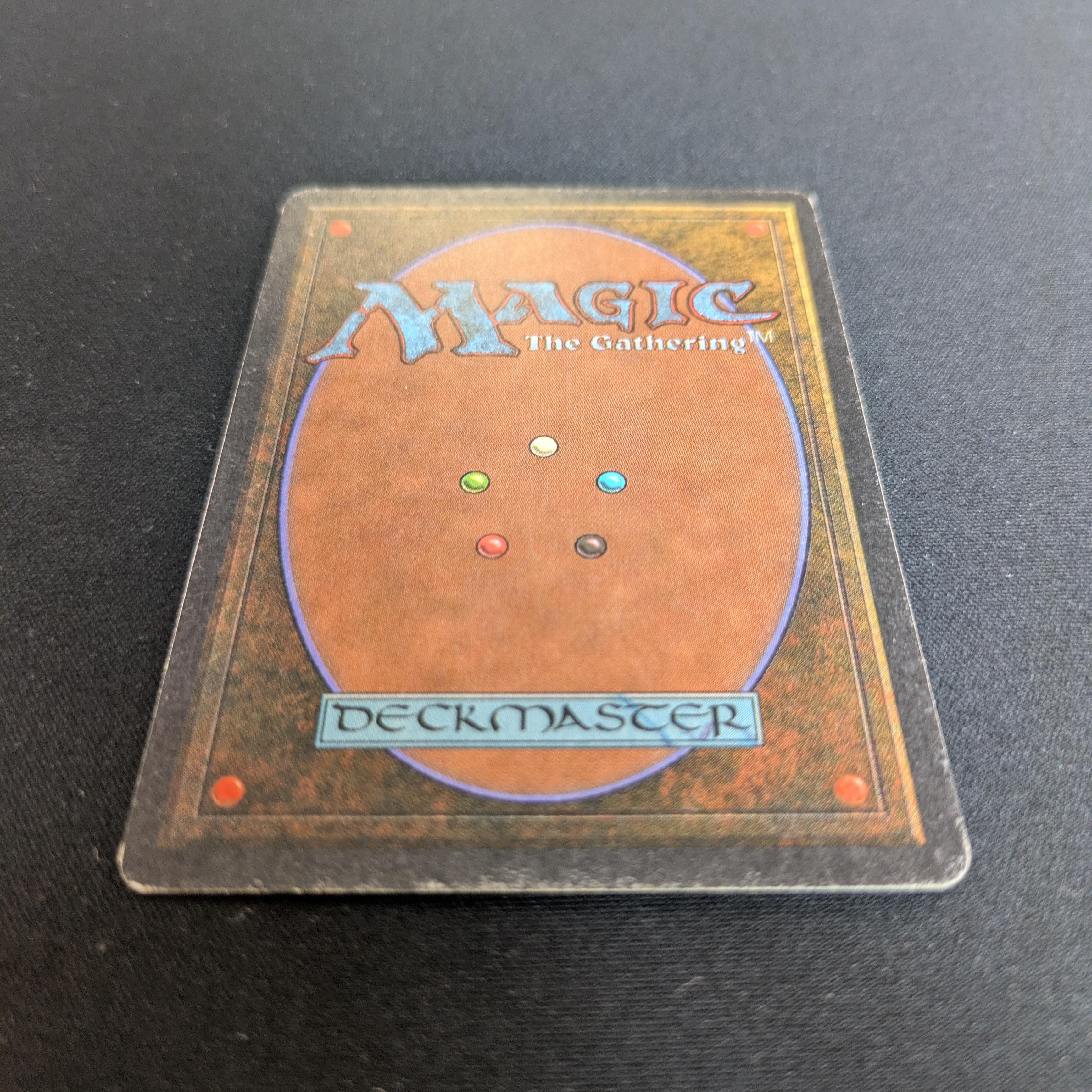 MTG Singles - Taiga - Revised - 