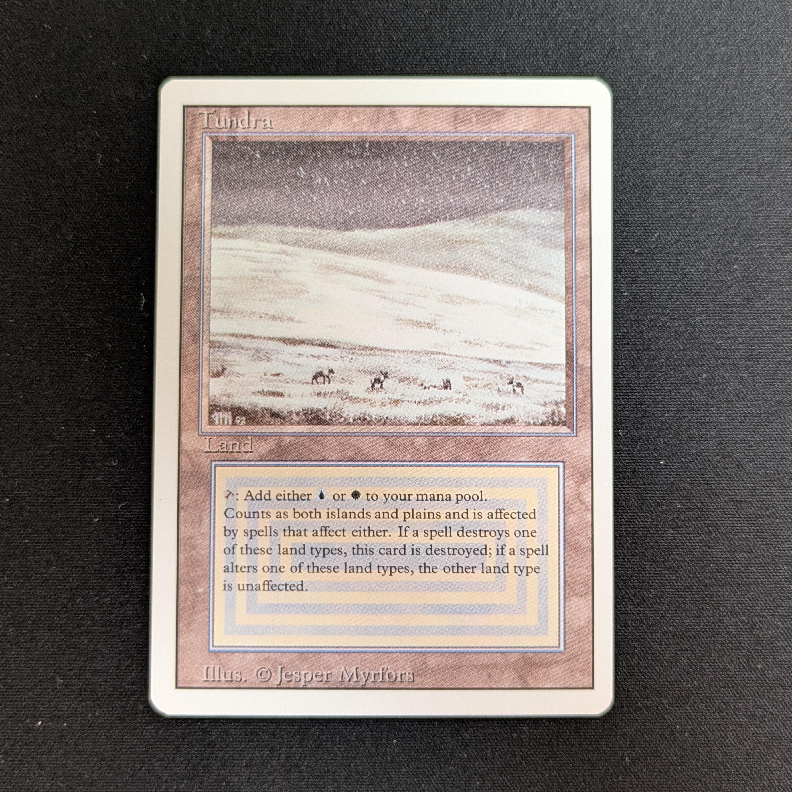 MTG Singles - Tundra - Revised - NM - 28272