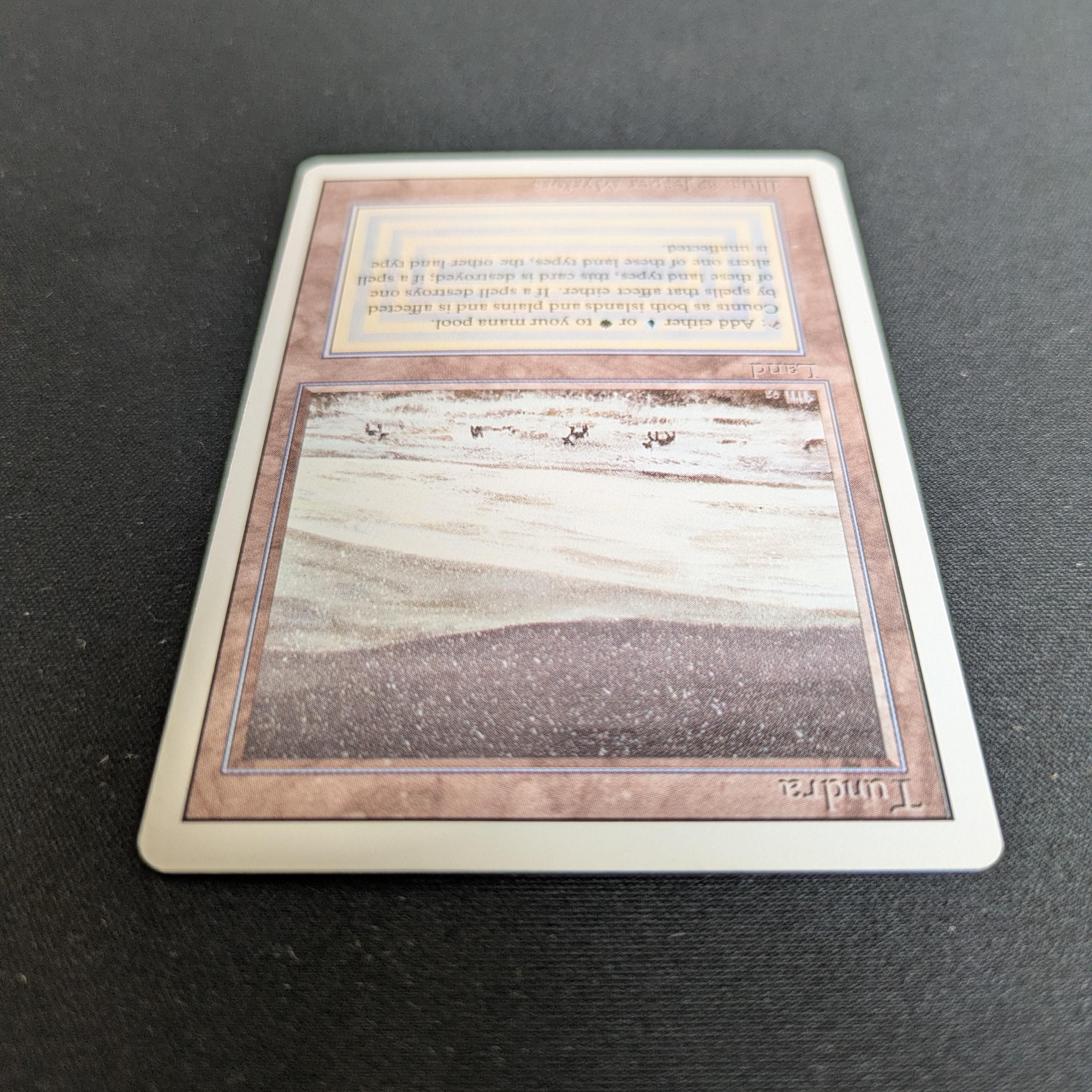 MTG Singles - Tundra - Revised - 