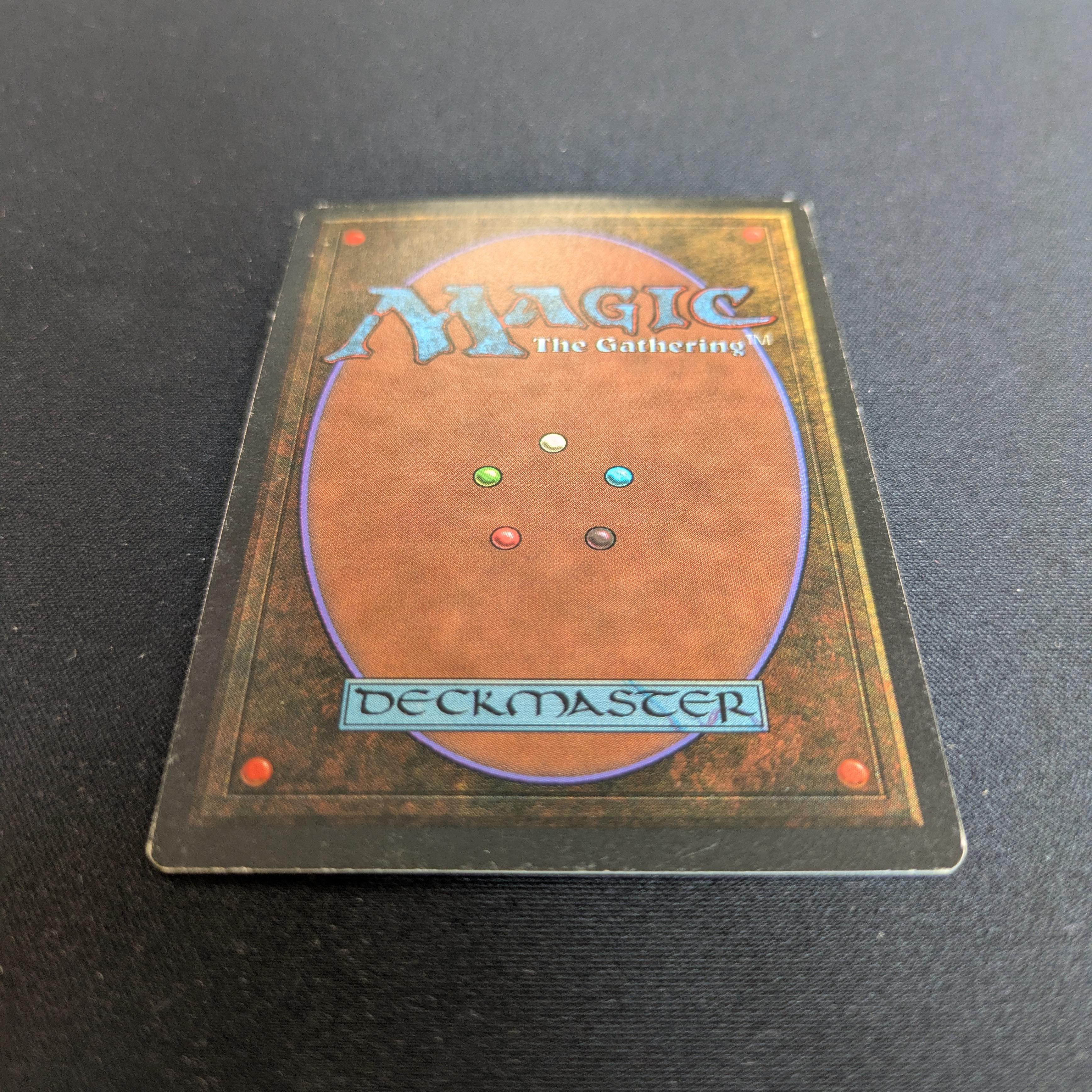 MTG Singles - Tundra - Revised - 